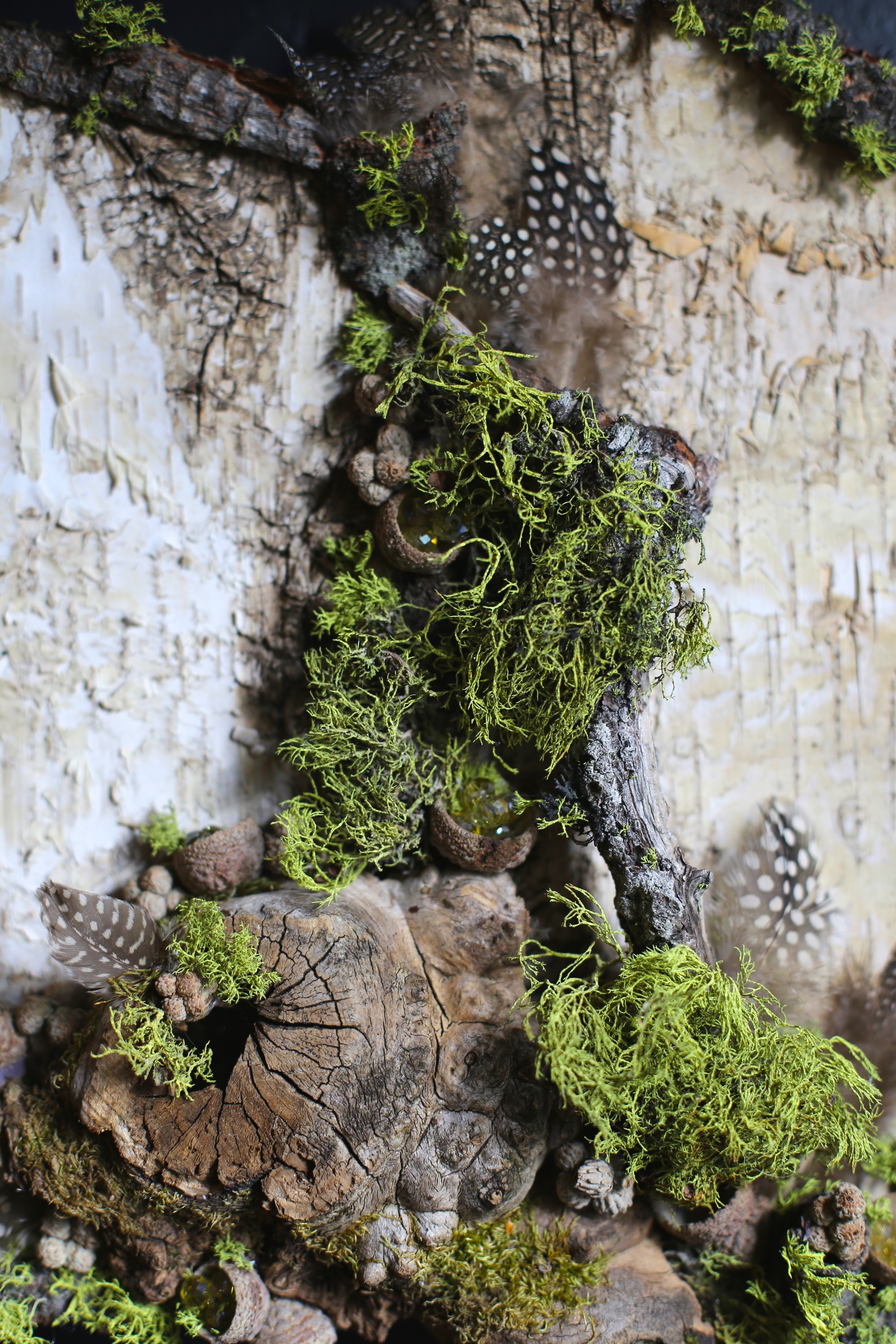 burled wood :detail.jpg