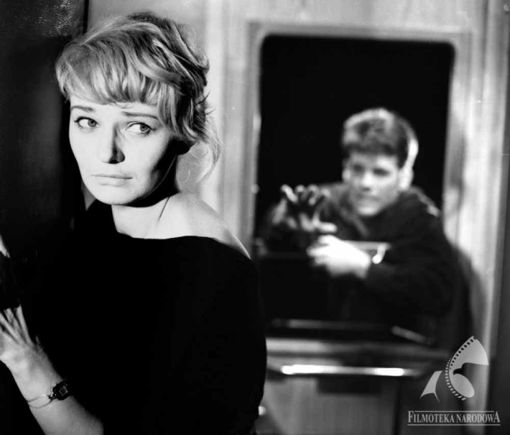 Polish History, Politics, and Cinema