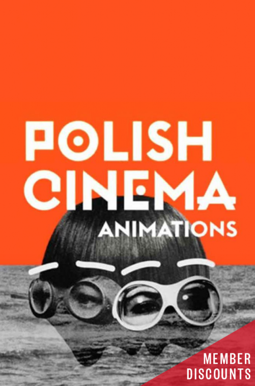 POLANIMATIONS.png