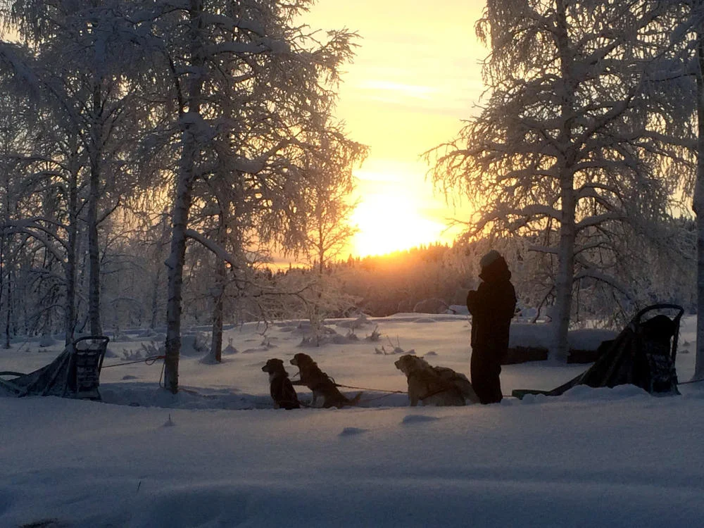 Husky Safari Lapland Retreat 1