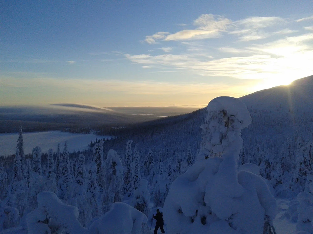 lapland winter safari 3.jpg