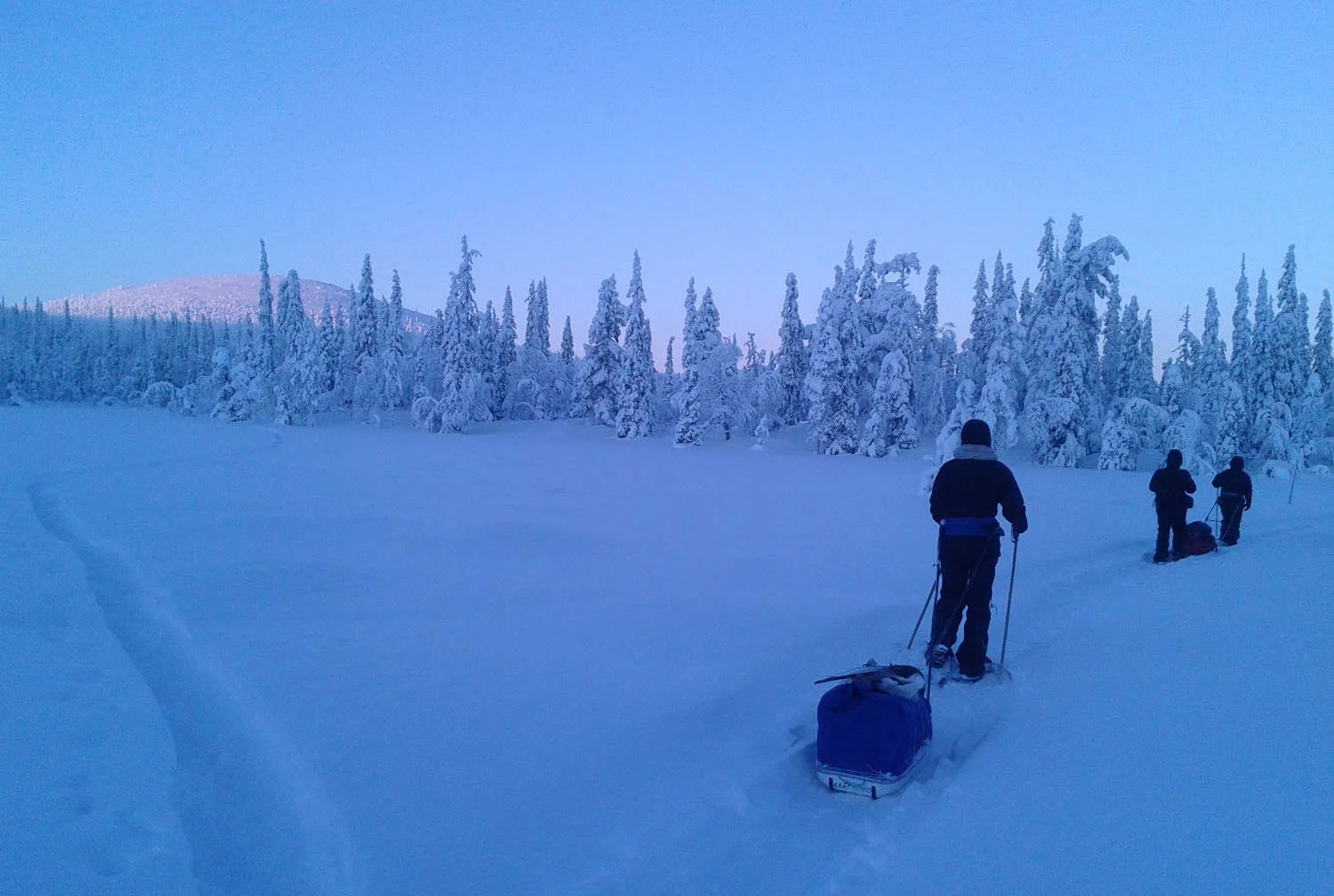 lapland winter trekking.jpg