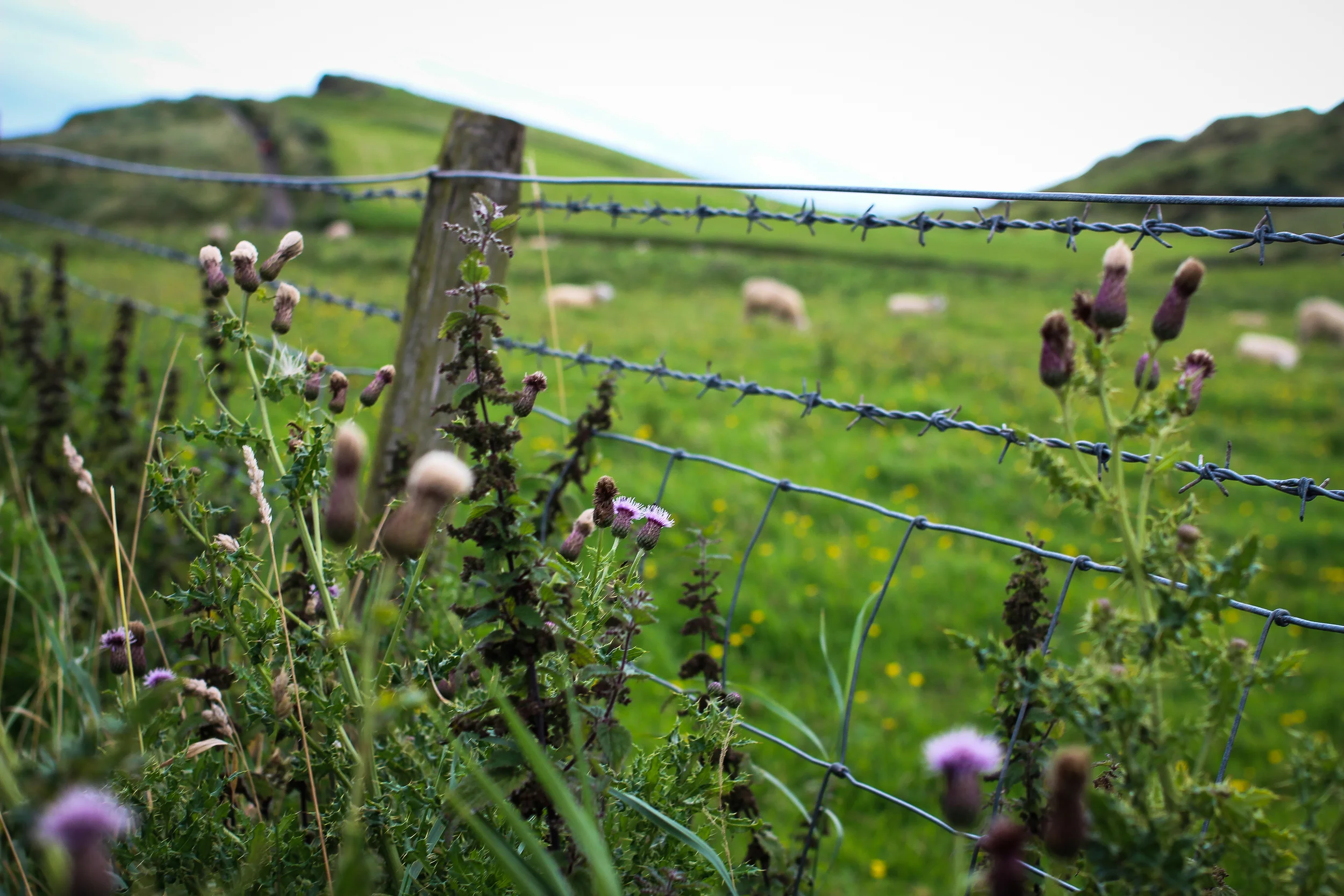 Somewhere in Northern Ireland, 2014