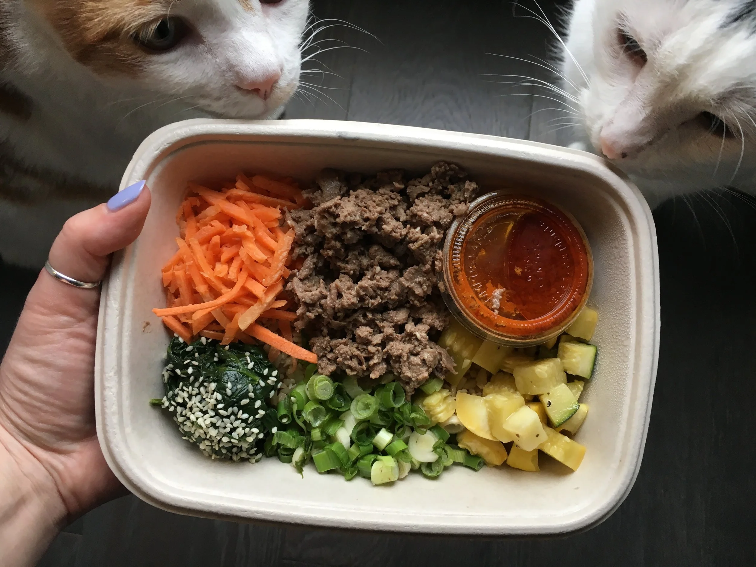 The vegetable bibimbap with stir-fried beef was my favorite! The fresh veggies, spicy gochujang sauce, and tender spiced beef was insanely delicious. I woofed it down like I had never eaten before.