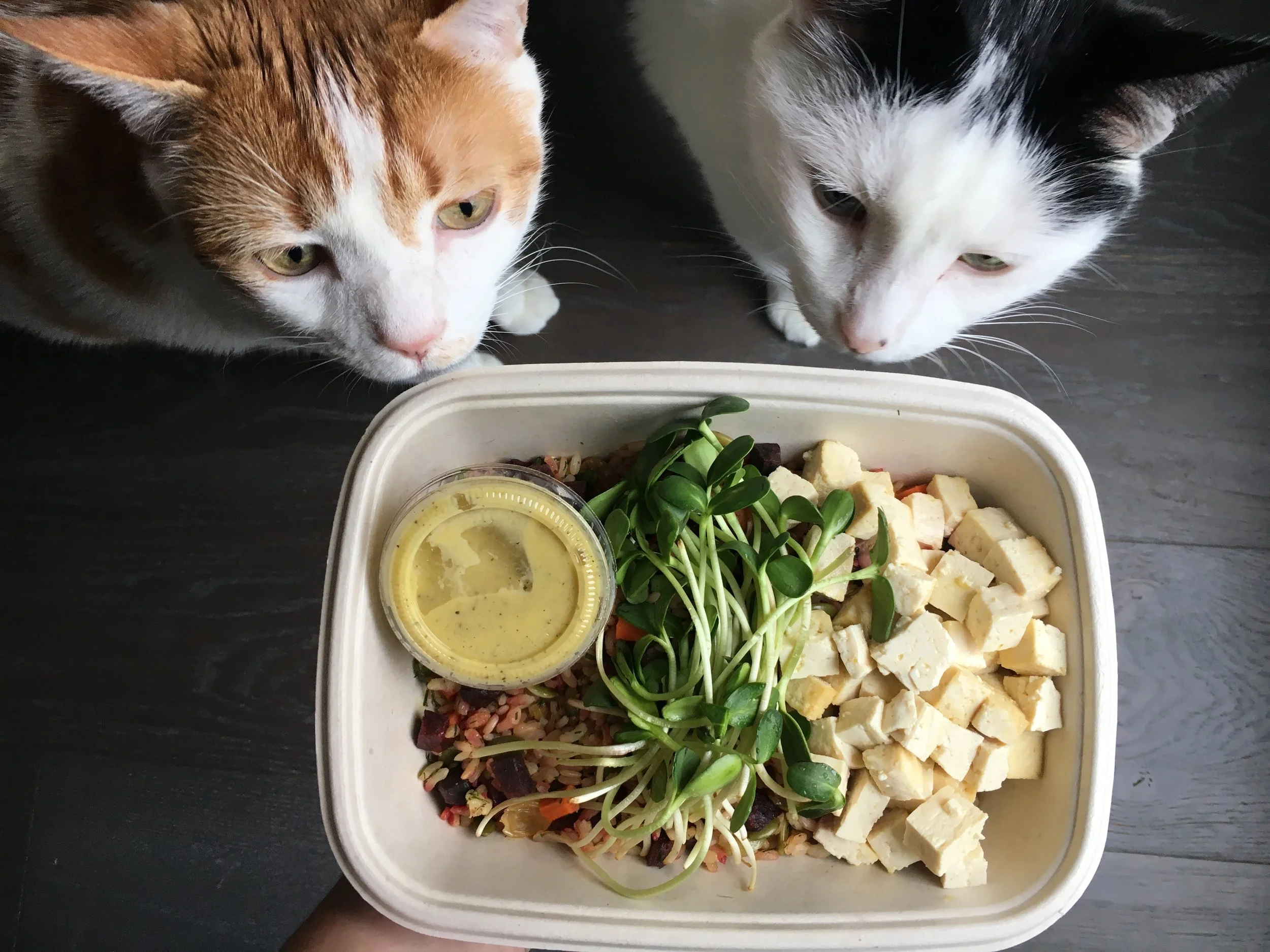 The roasted carrot and beet salad came with delicate, protein-packed tofu and beautiful pea shoots. The toasted brown rice added great texture and left me feeling full and happy.