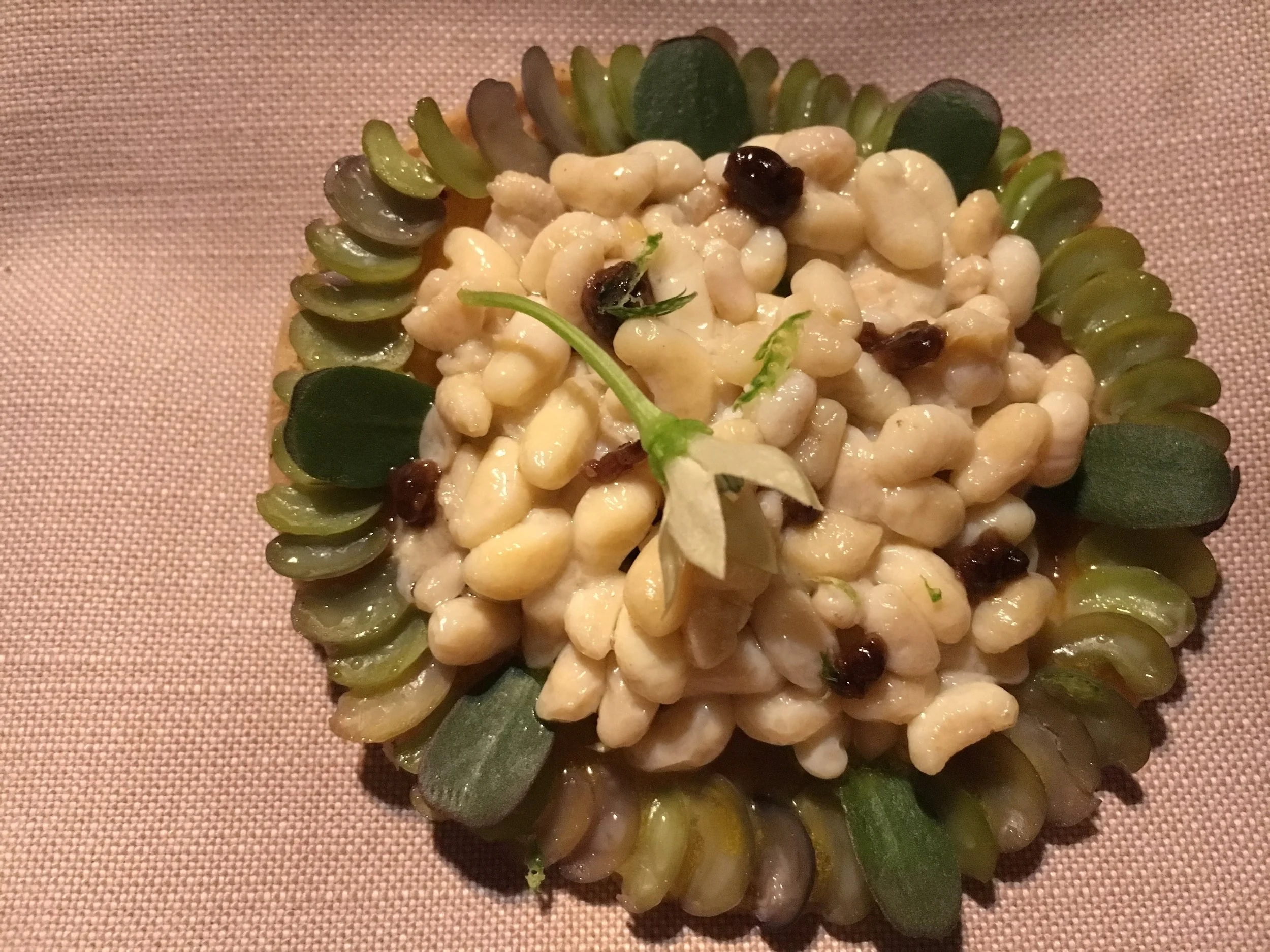 Ant larvae tostada with sage.