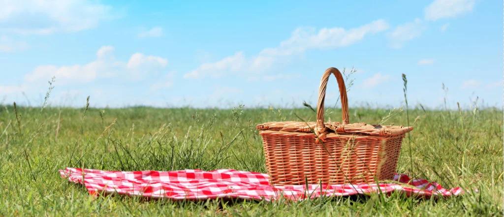Let's Pack a Picnic!
