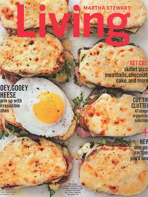 Press_MS_Jan2015_1.jpg