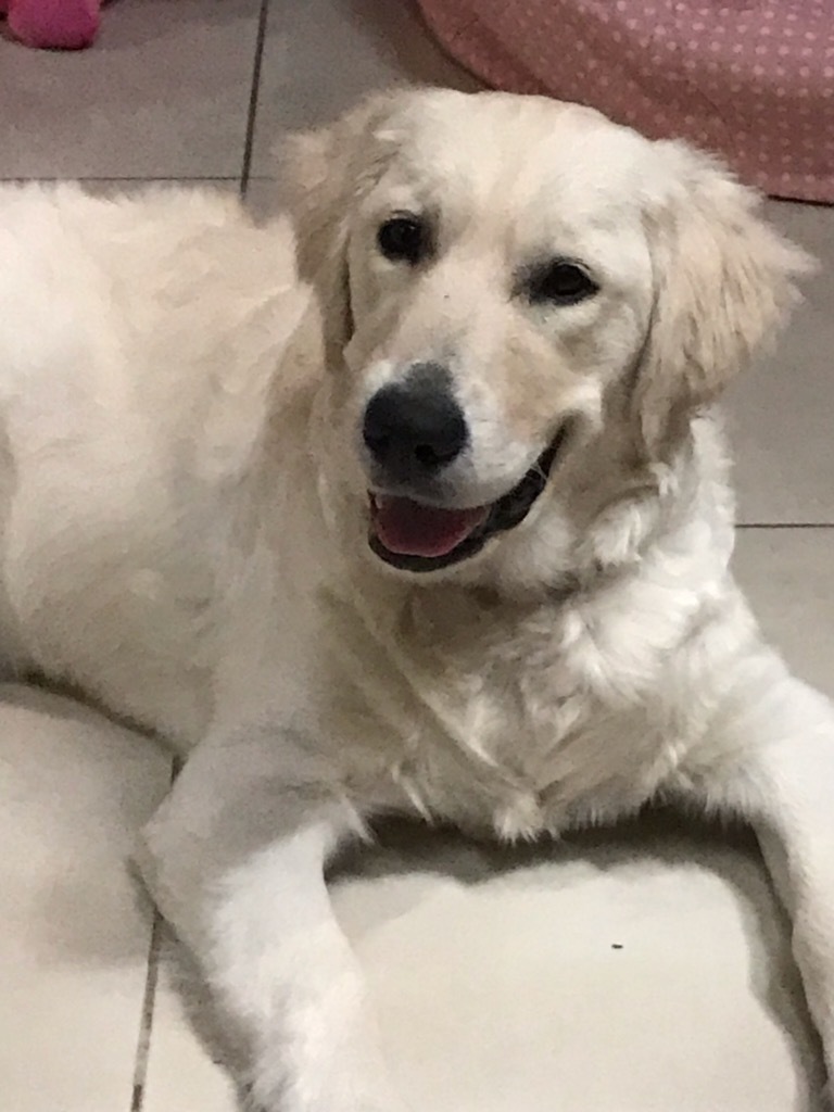 This Is Jasmine