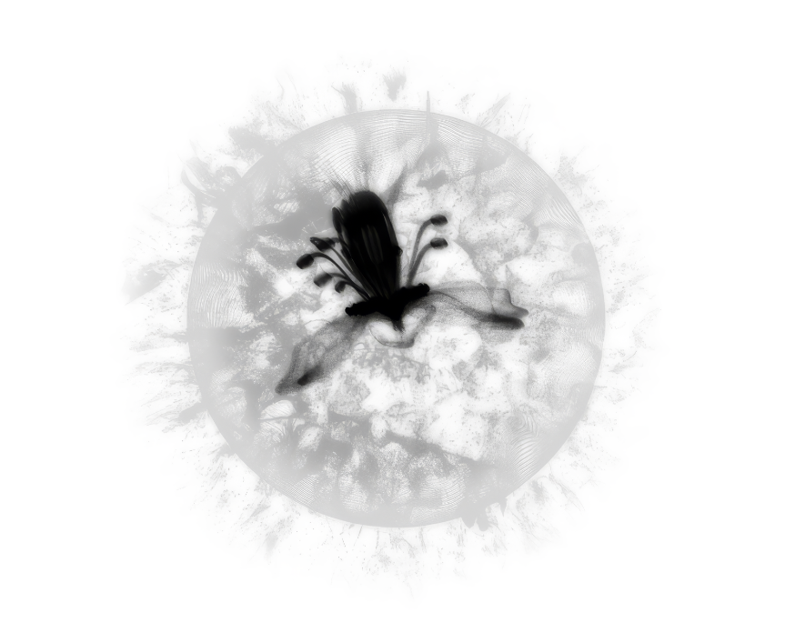 Screenshot 2026-09-20 at 22.50.39.png