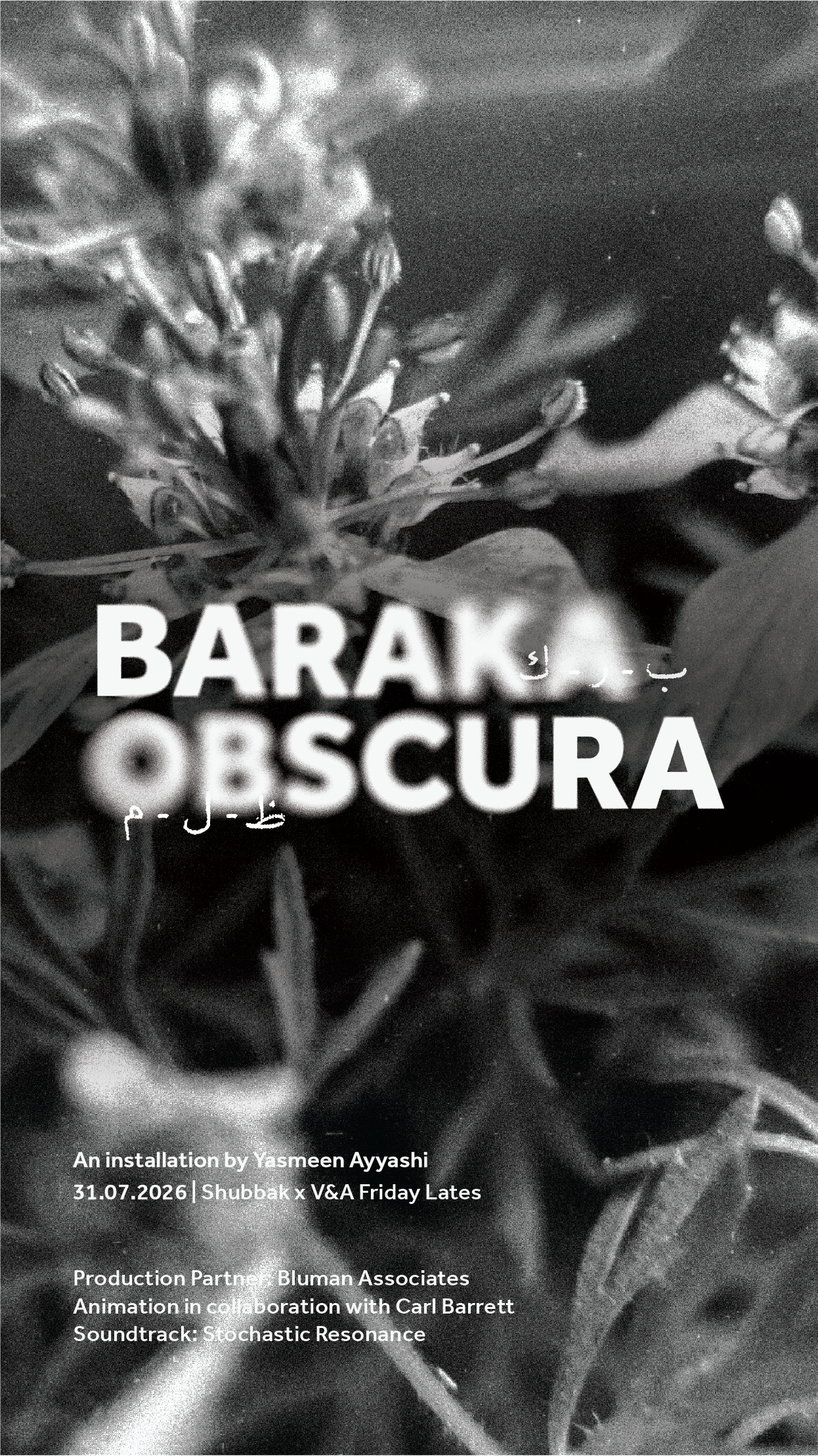 postcards baraka obscura-10.png