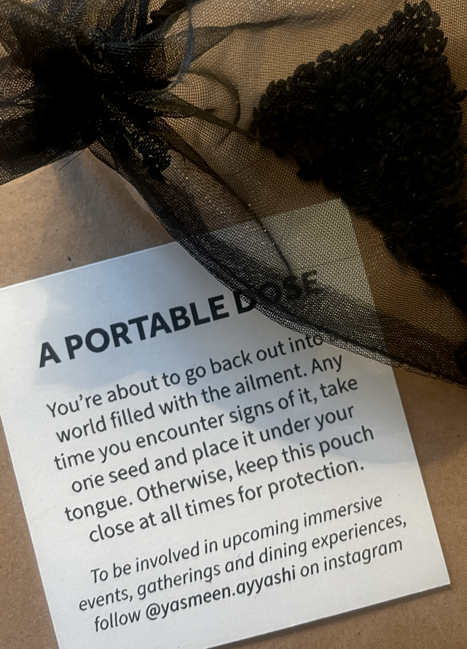 portable dose 2a.png