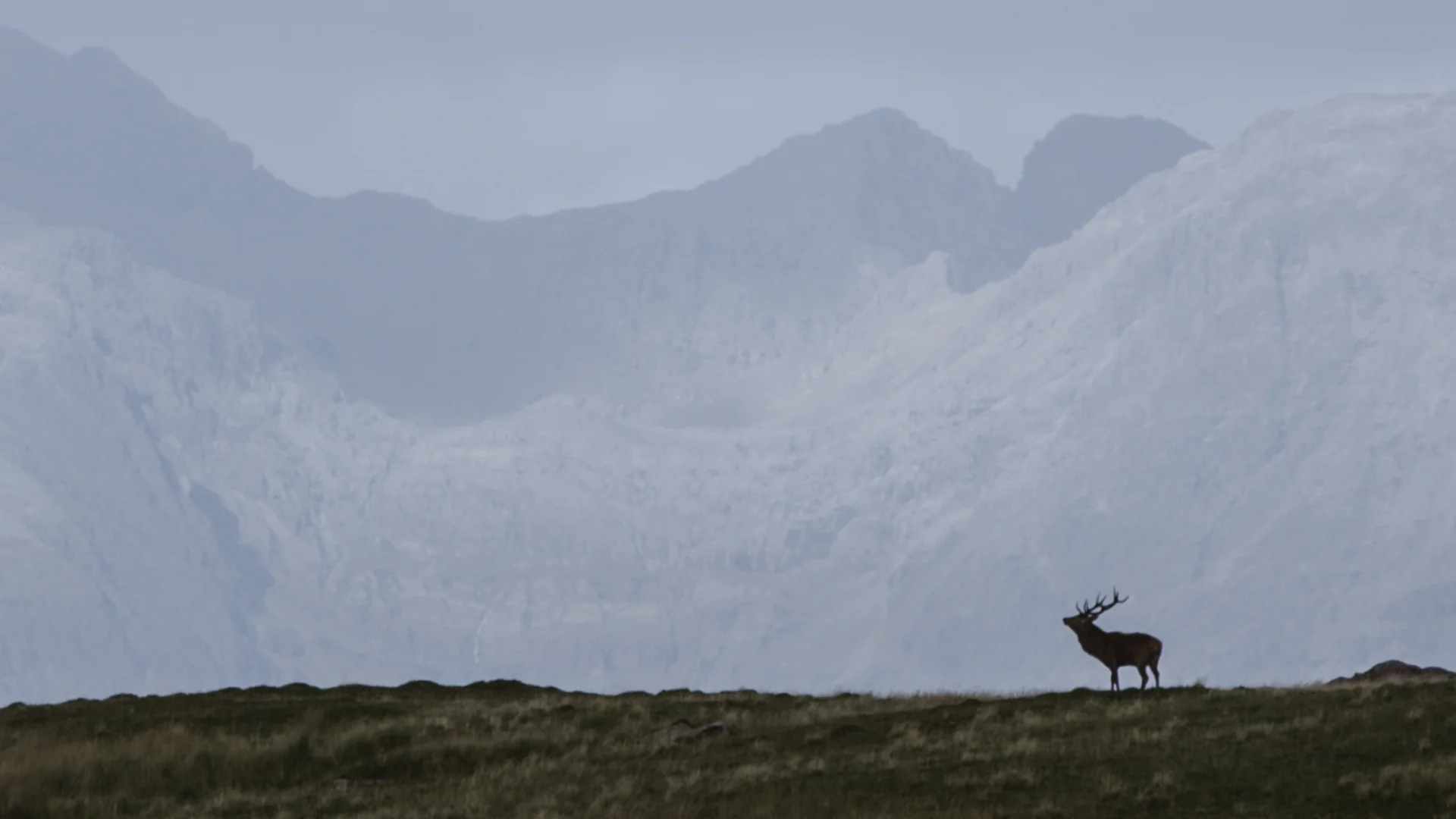 Press Release: MARAMEDIA AND SKYLAND ANNOUCE CO-PRODUCTION VENTURE