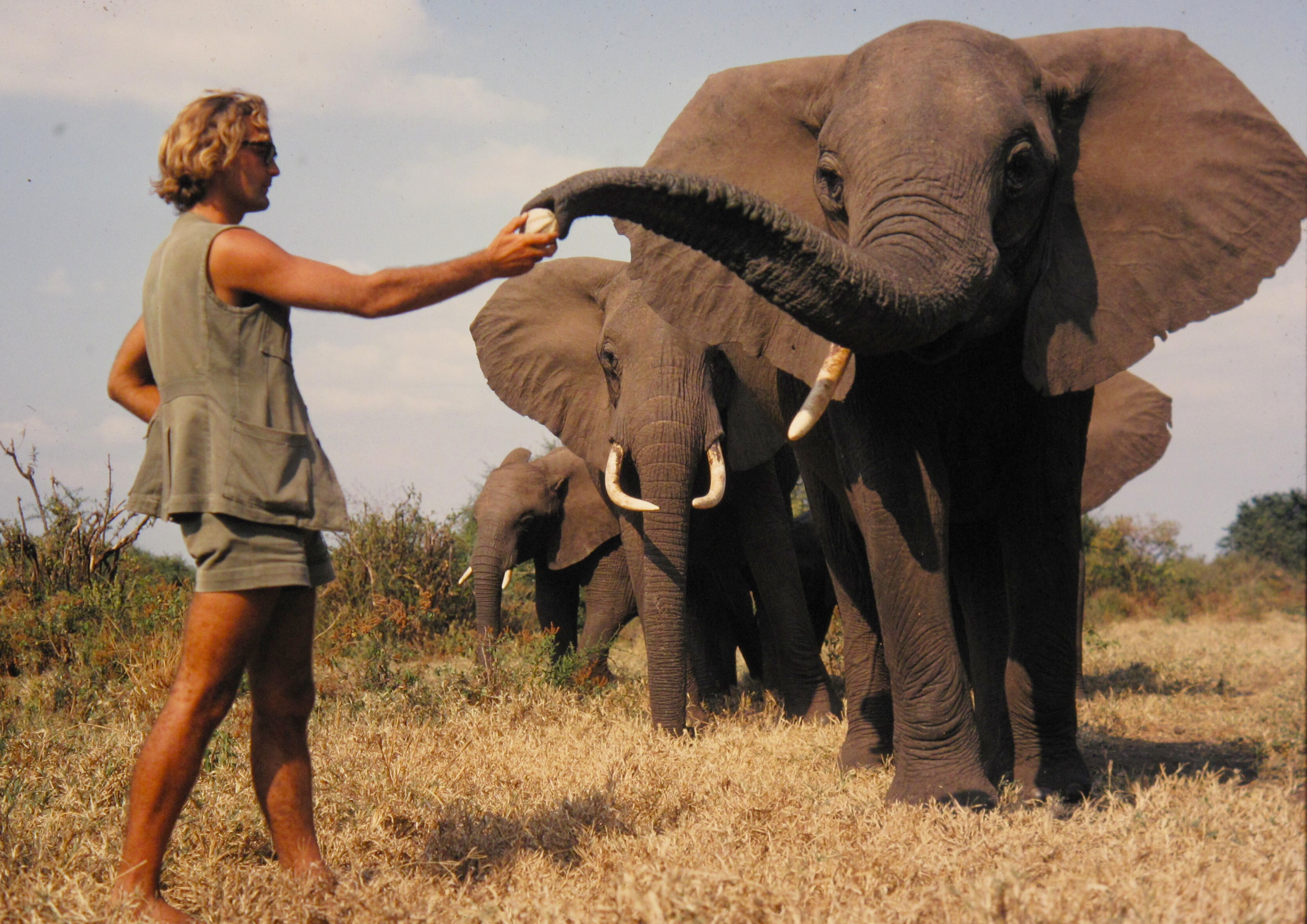 STILL_001_IAIN_FEEDING_VIRGO_SaveTheElephants copy.png