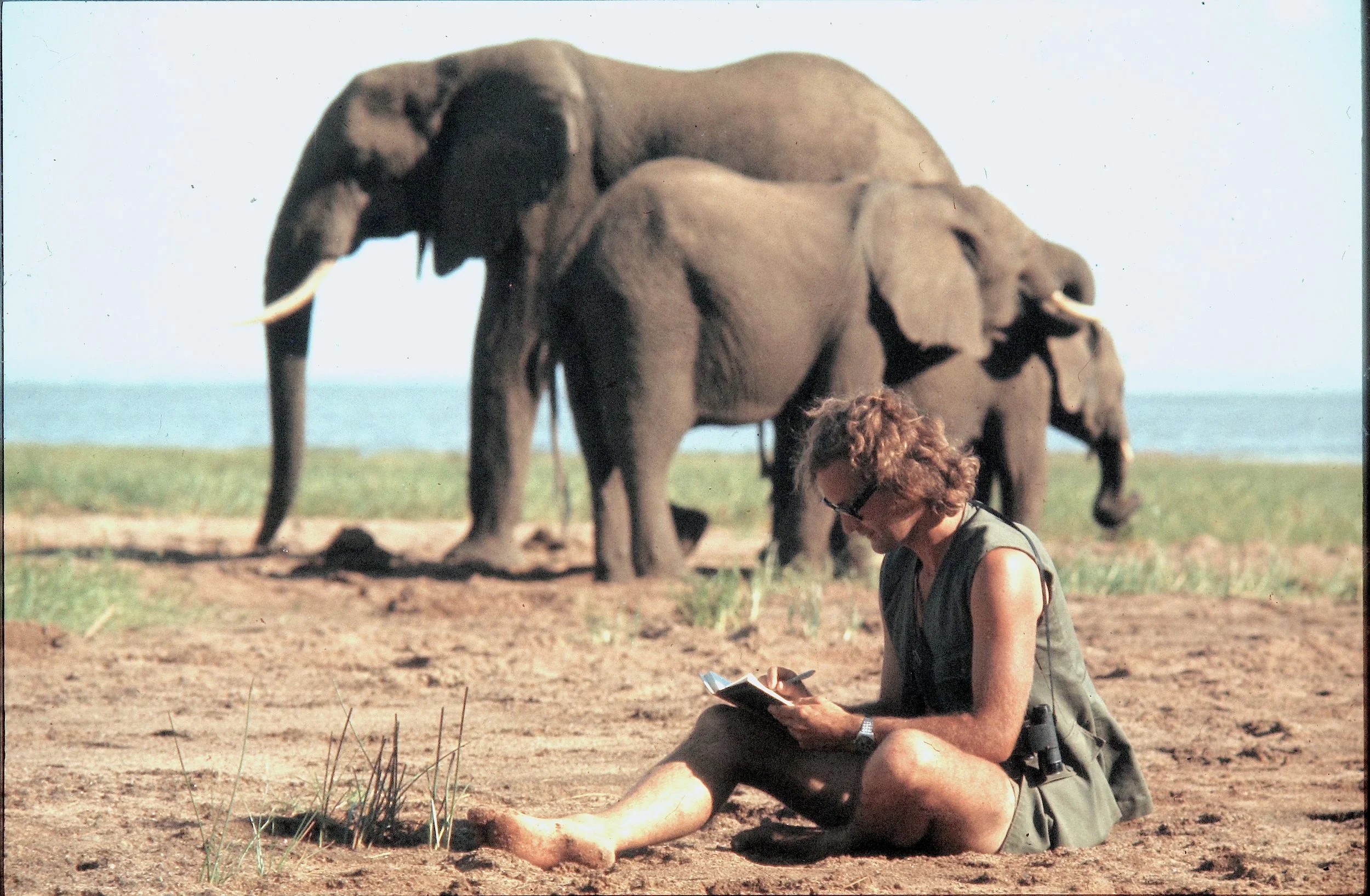 A Life Among Elephants – theatrical tour