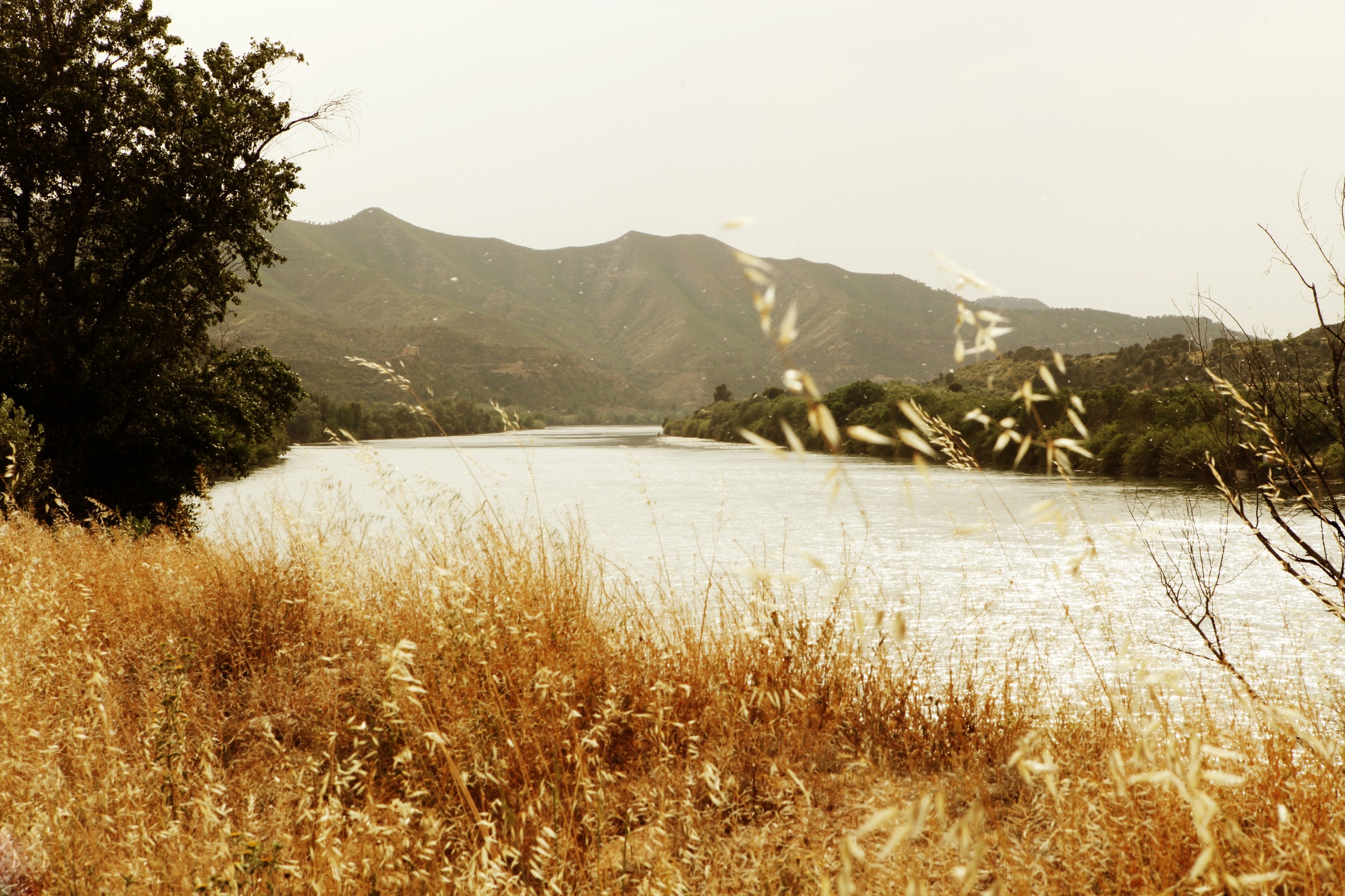 co-working rural workation PANDORAHUB3.JPG