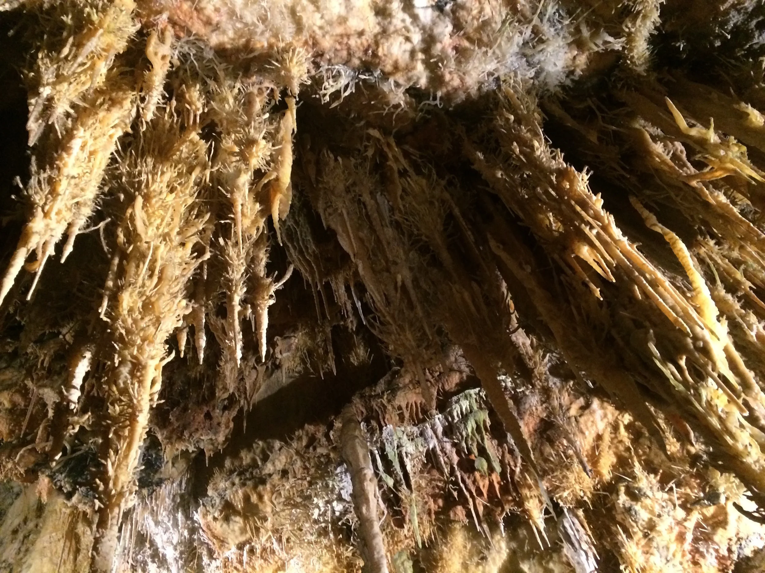 molinos cuevas8.jpeg