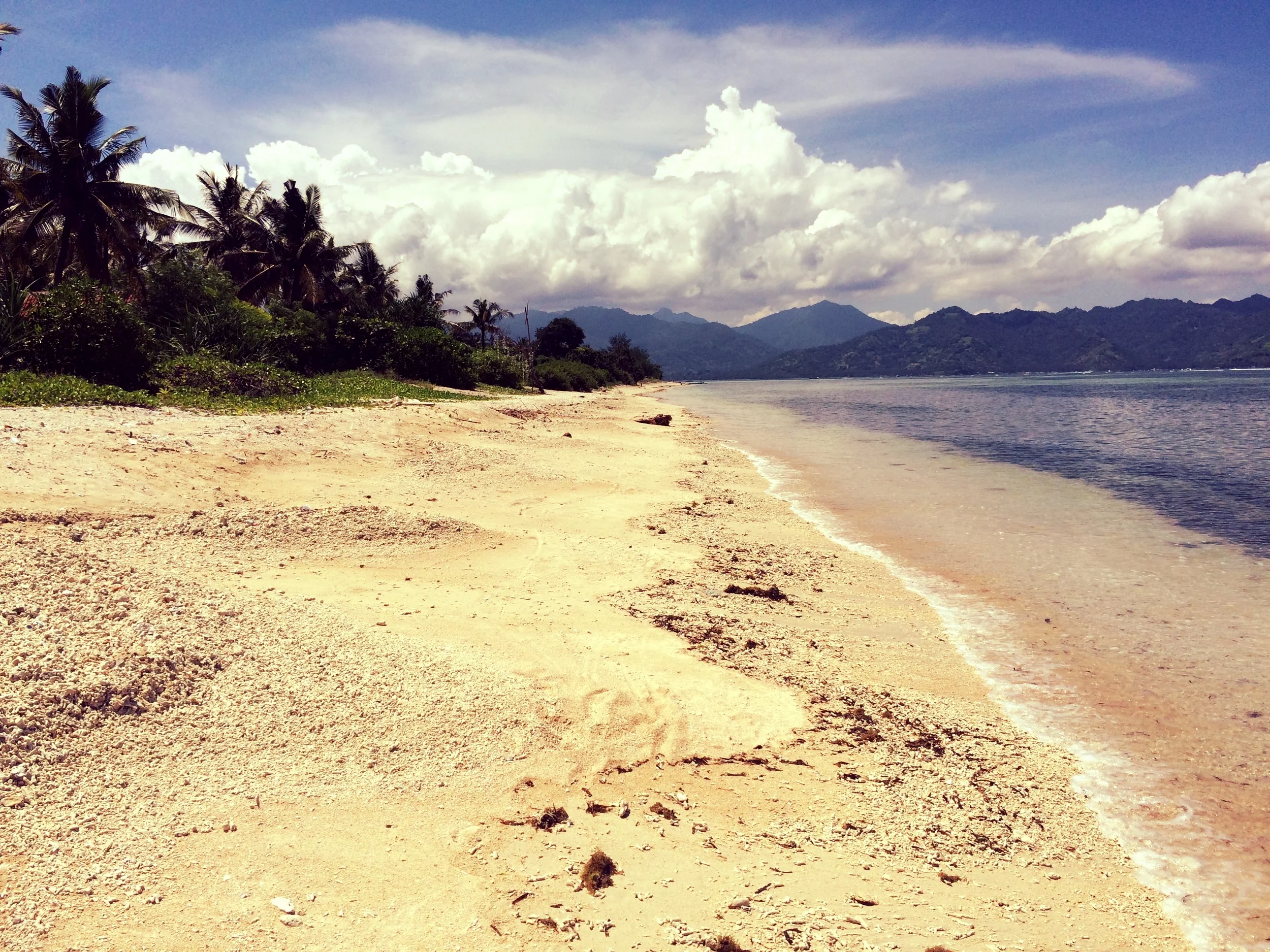 X-Cultural Acceleration Bali