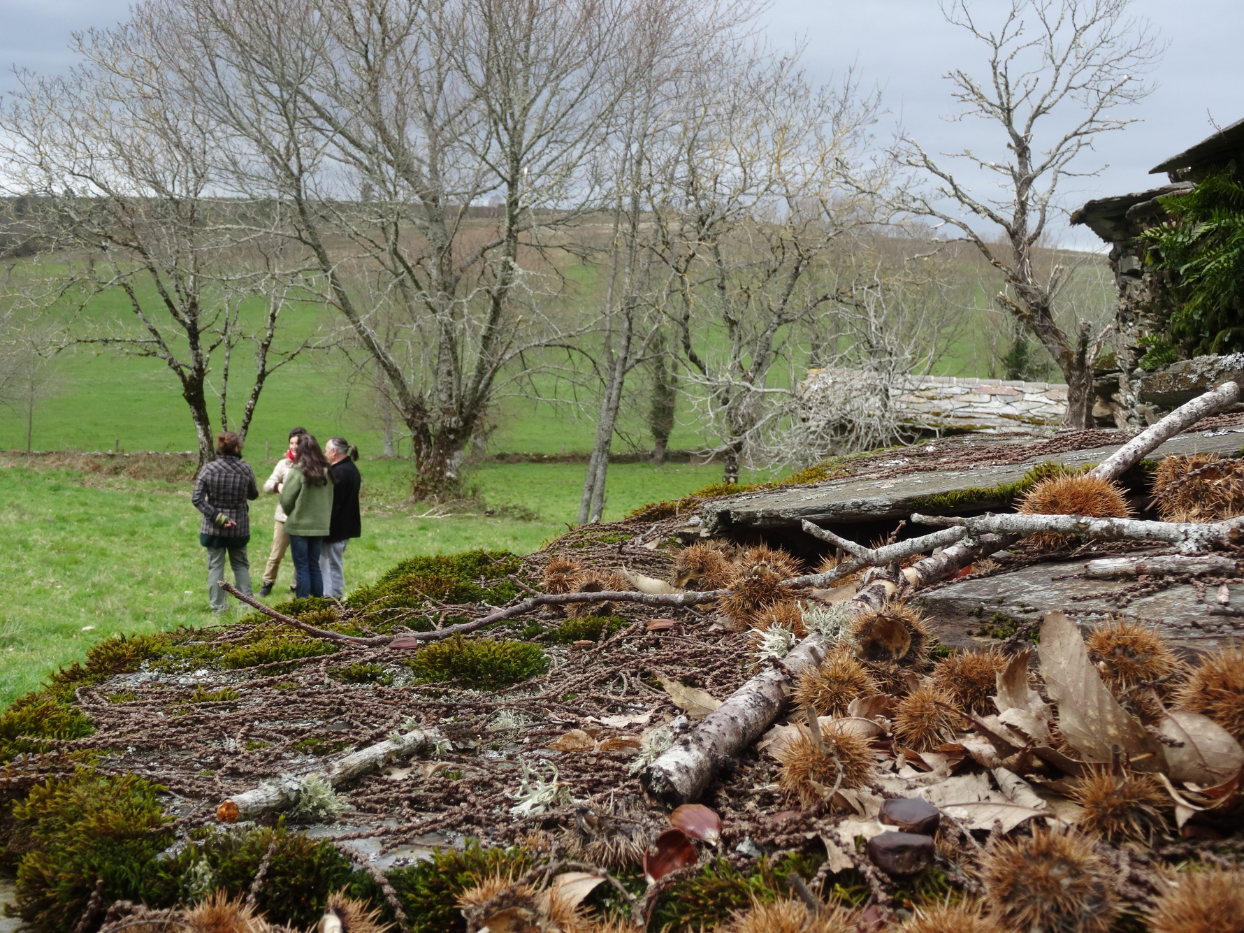 Summer Rural Coliving Safari - o'Couso