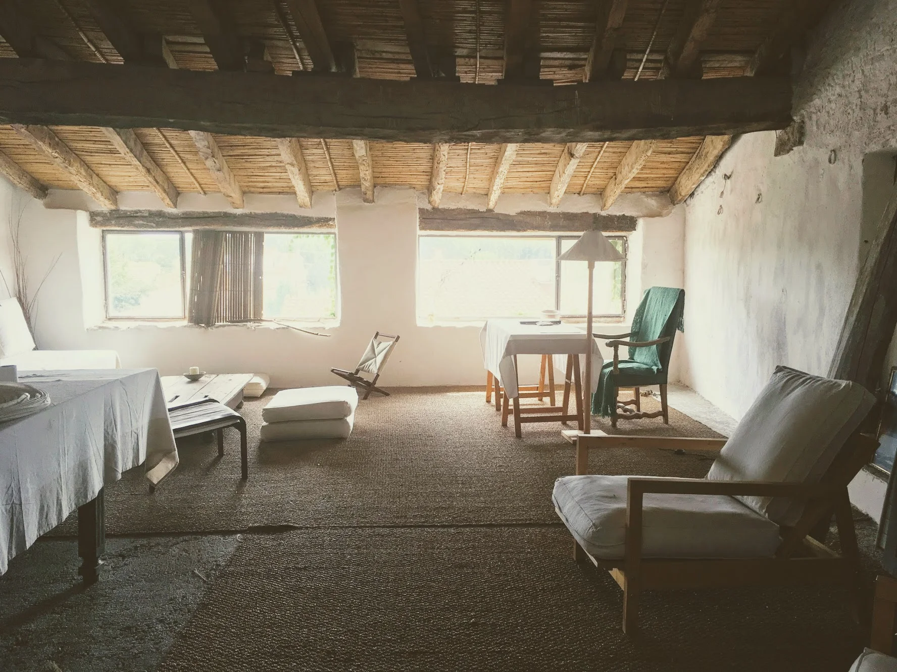 placeta chill out 2.jpg