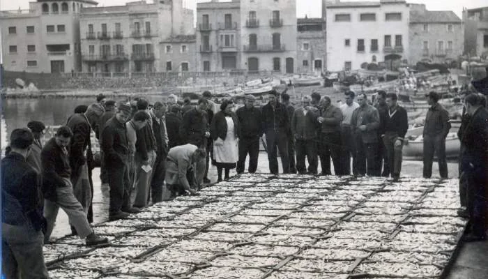 FREE - Real Time Fish Auction at the Port