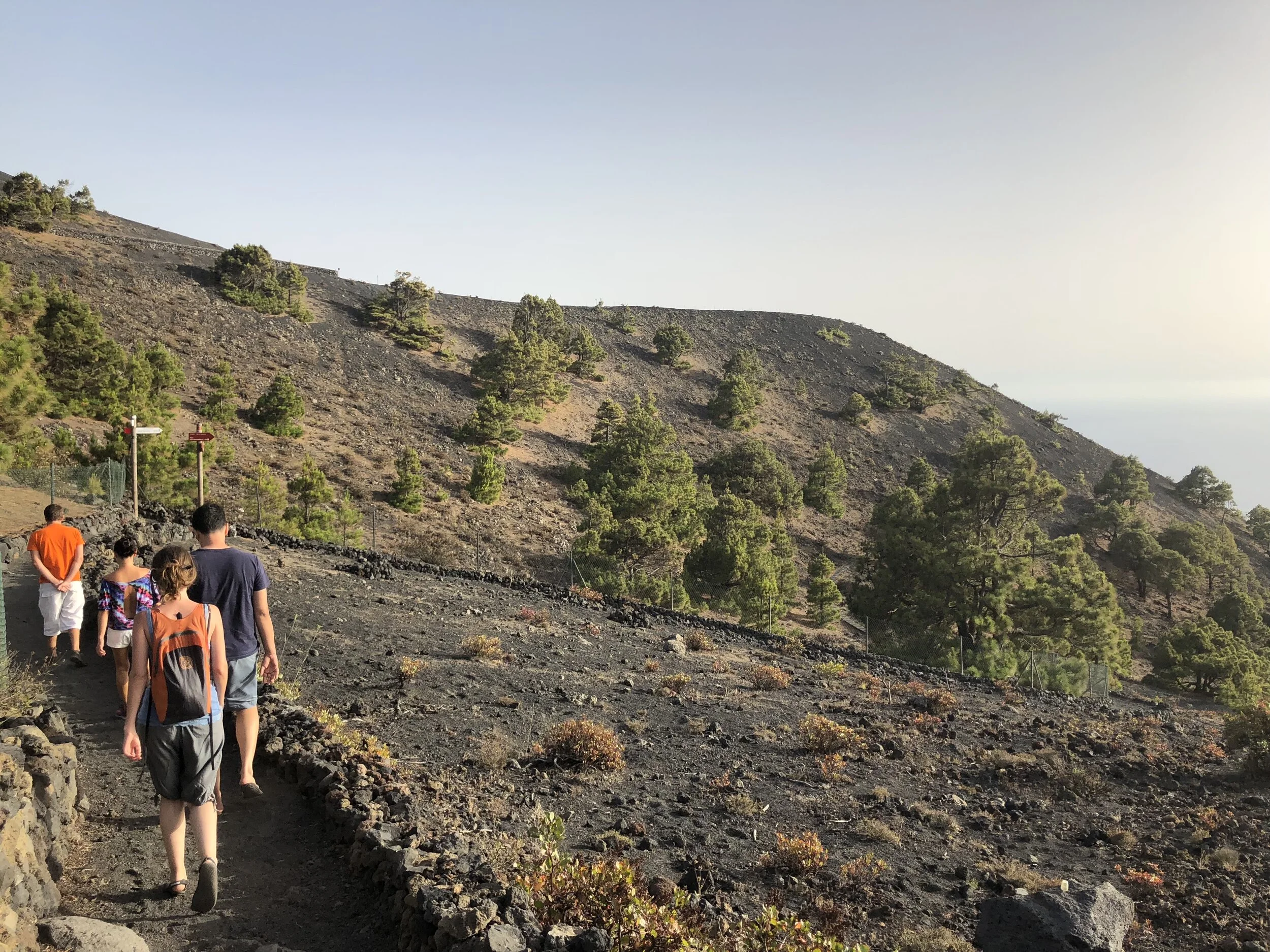 pandorahub ecologyhub la palma renovable