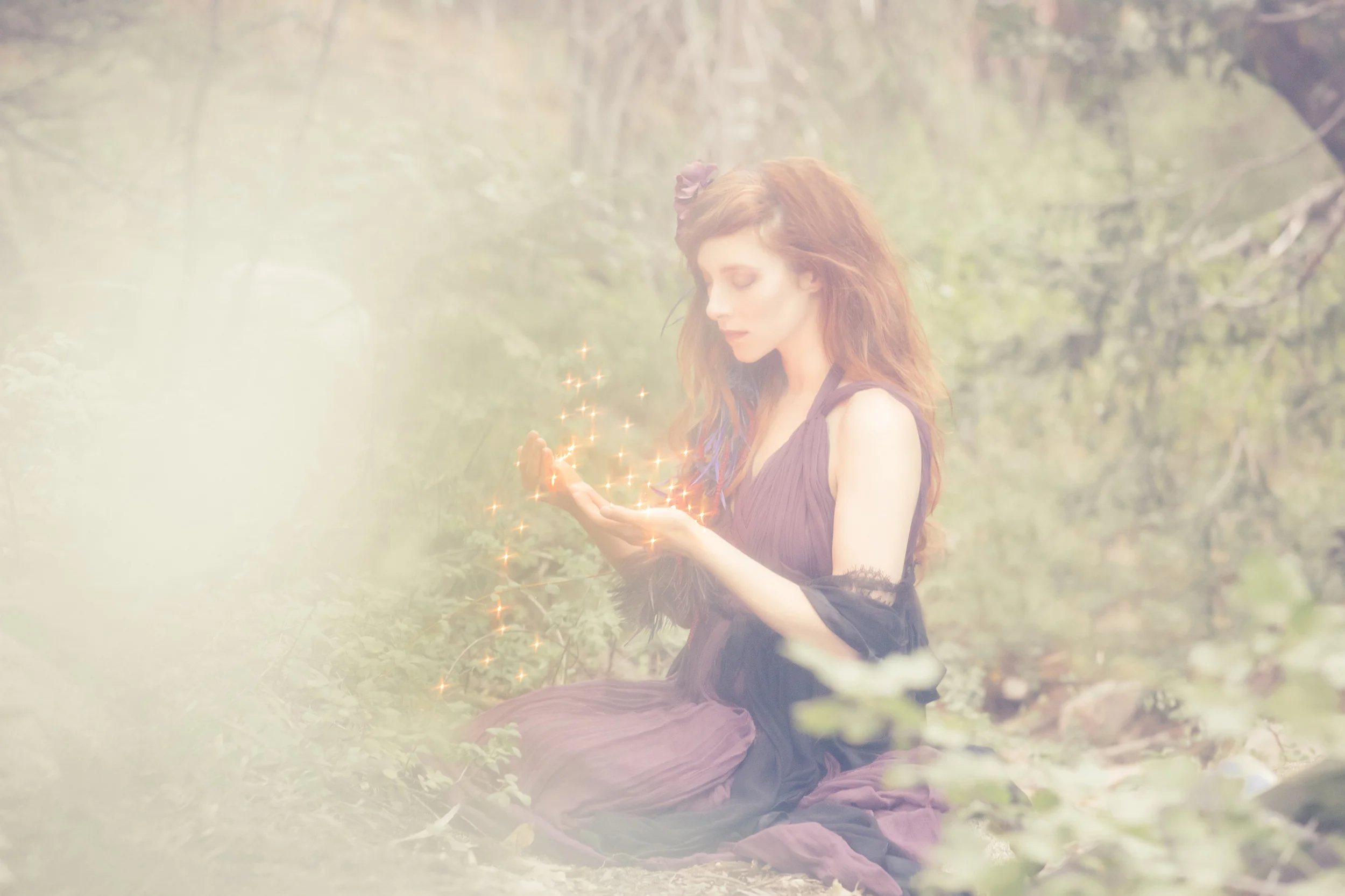 PETAL_N3A7945c_HI RES.jpg