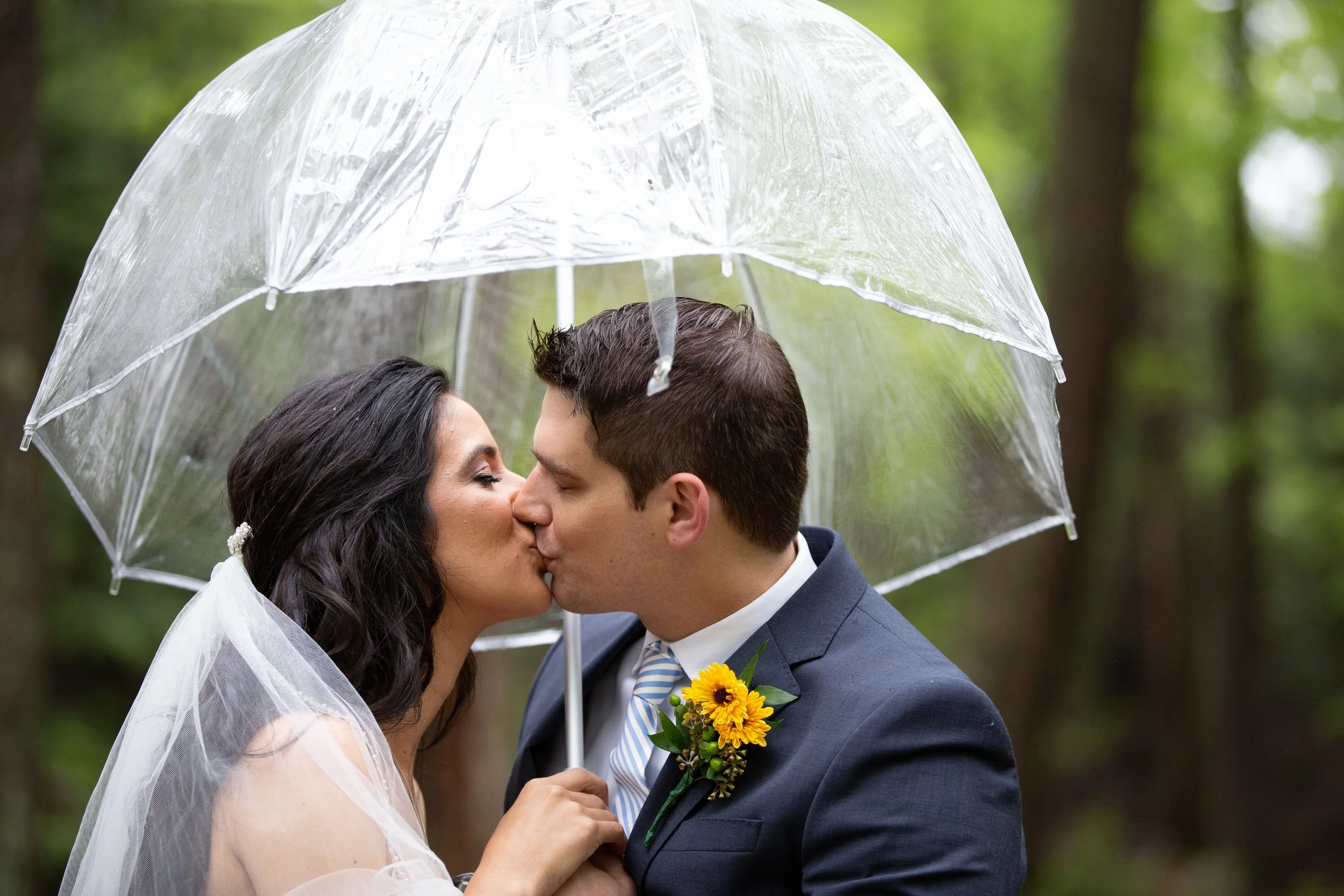 A couple kissing under a clear umbrella in a forest setting, possibly during their wedding, with greenery in the background.