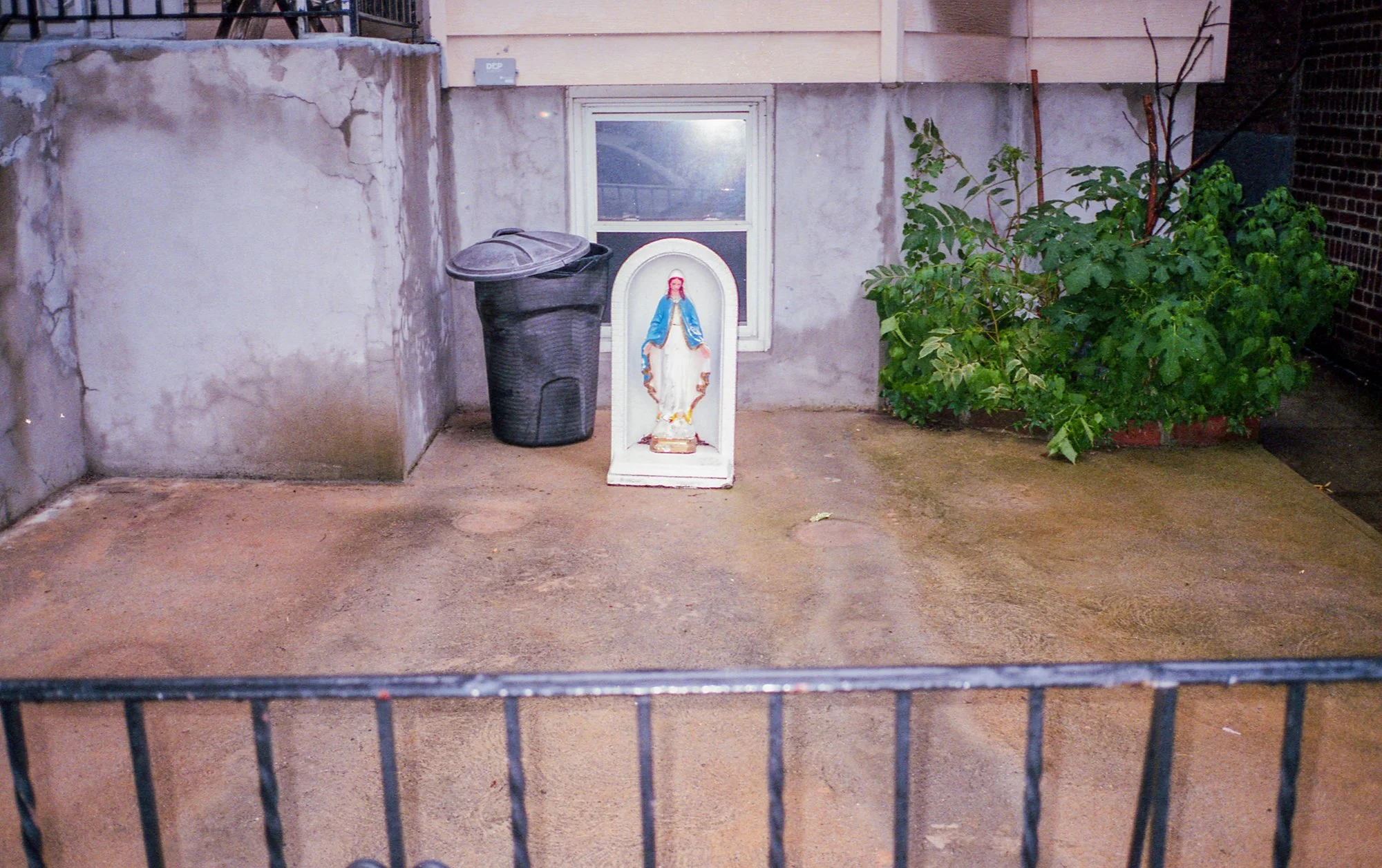img195.jpg