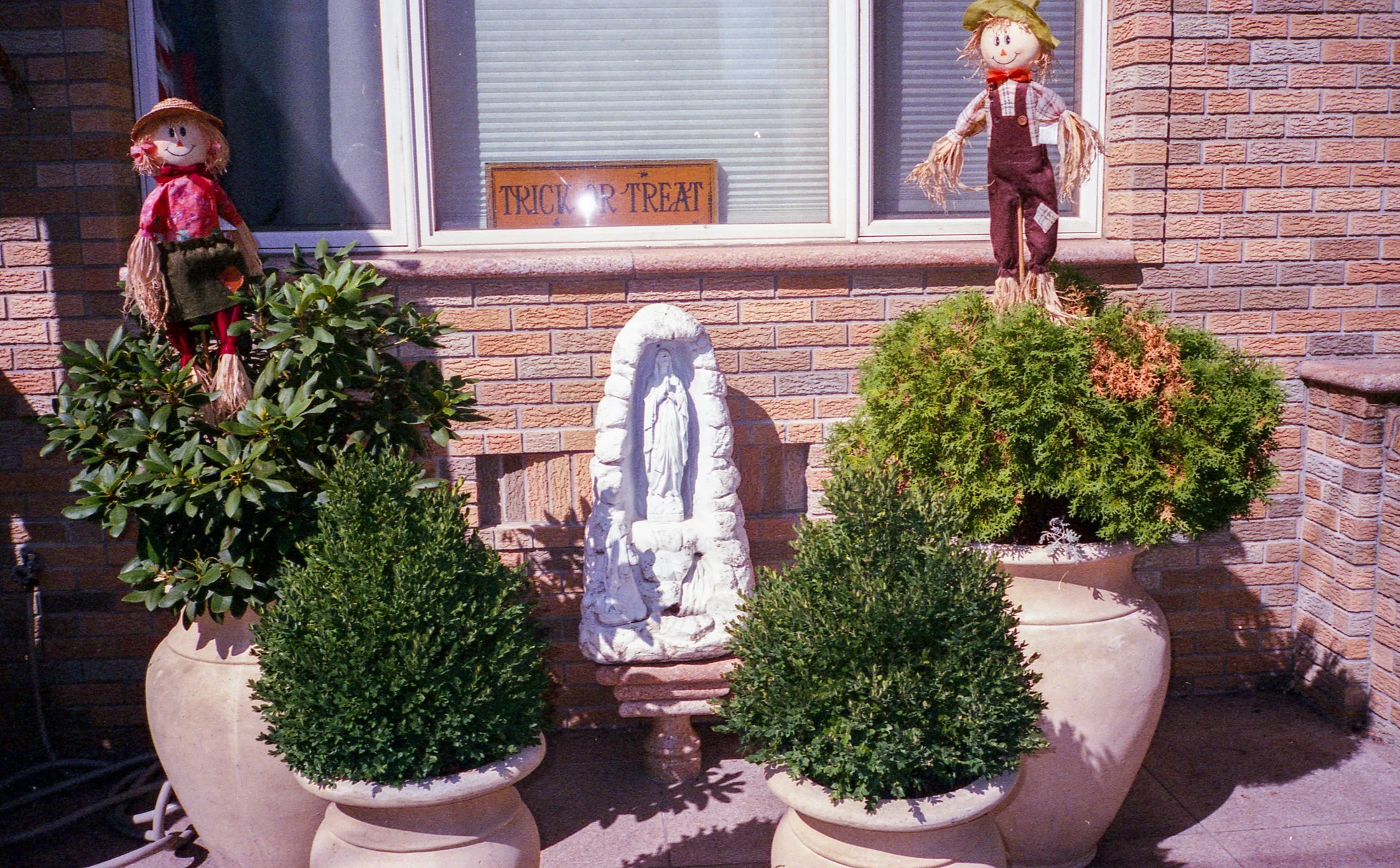 img391.jpg