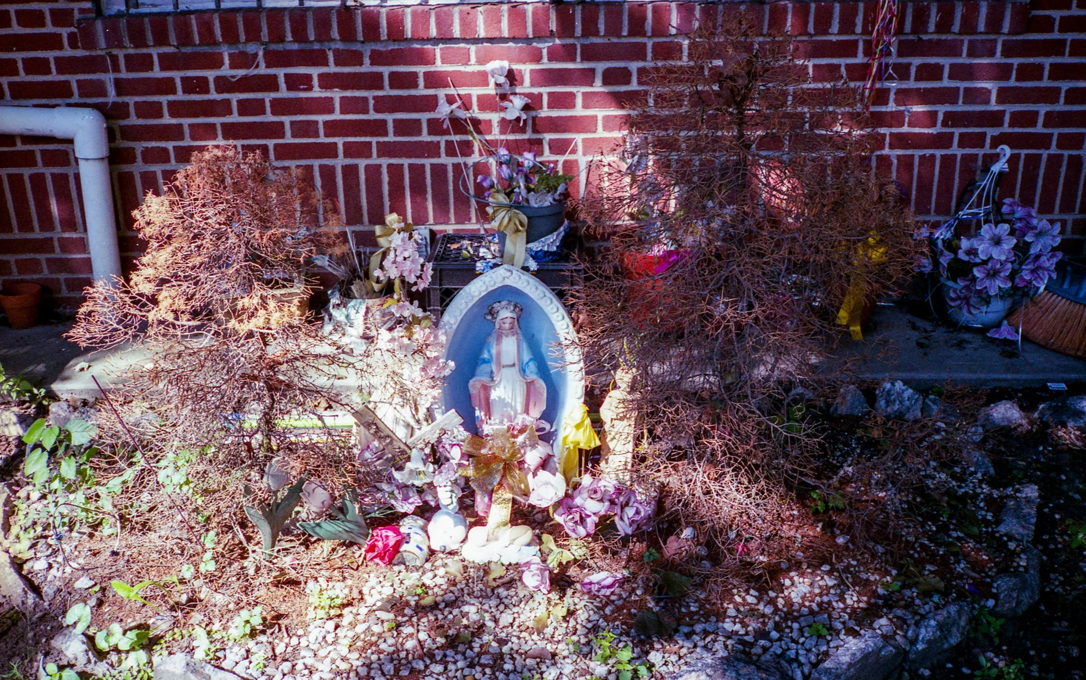 img389.jpg