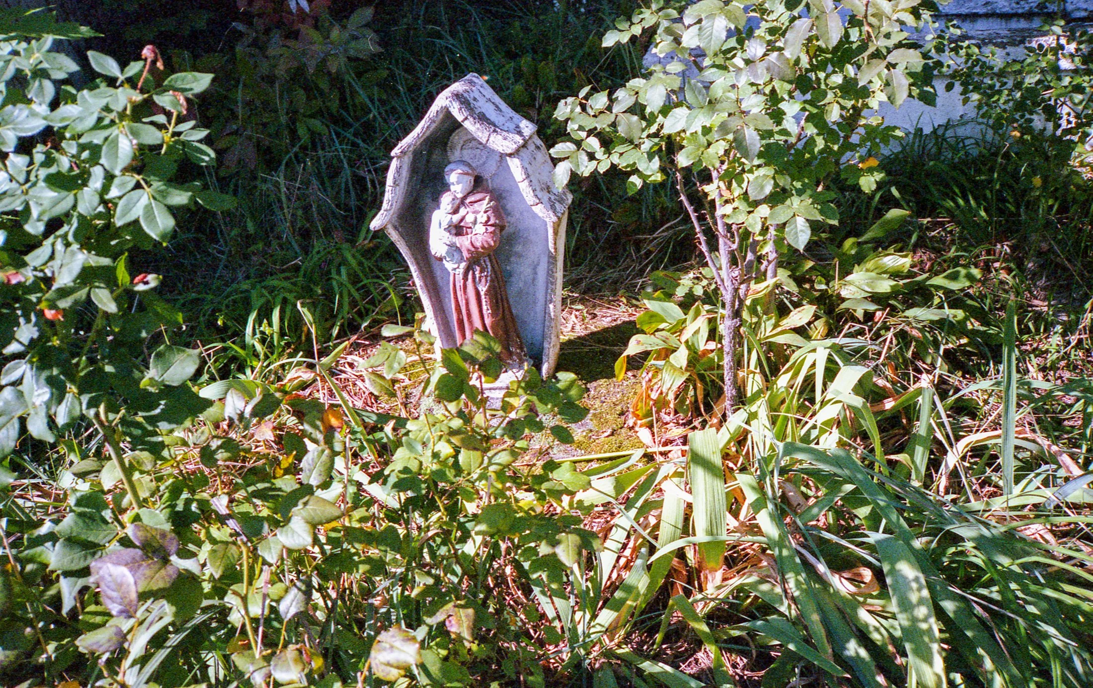 img386.jpg