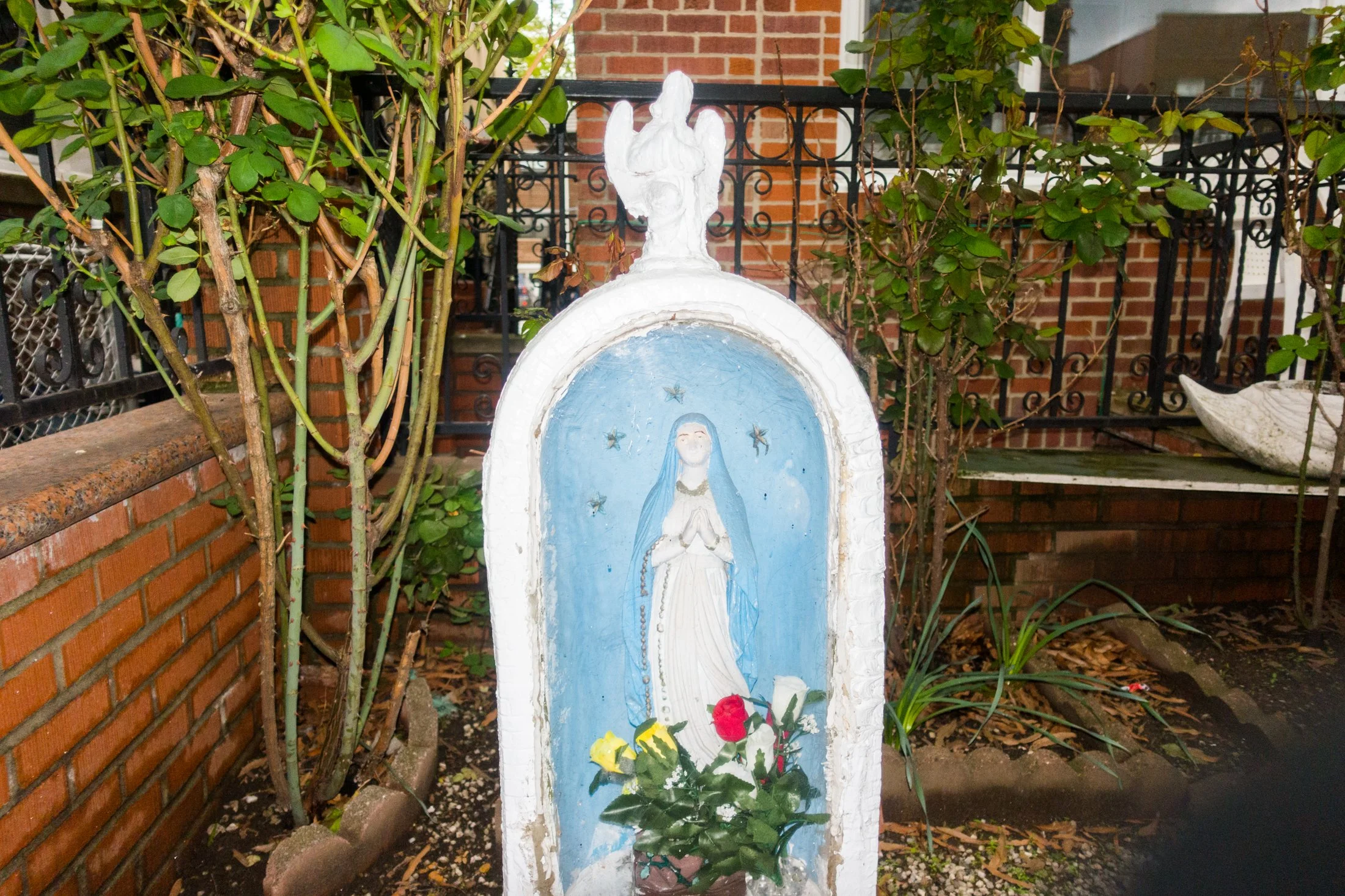DSC08403.jpg