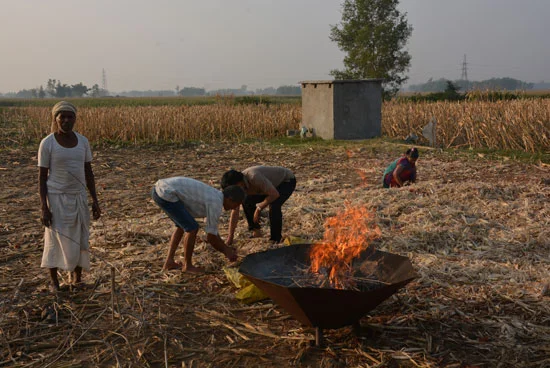 BIOCHAR production