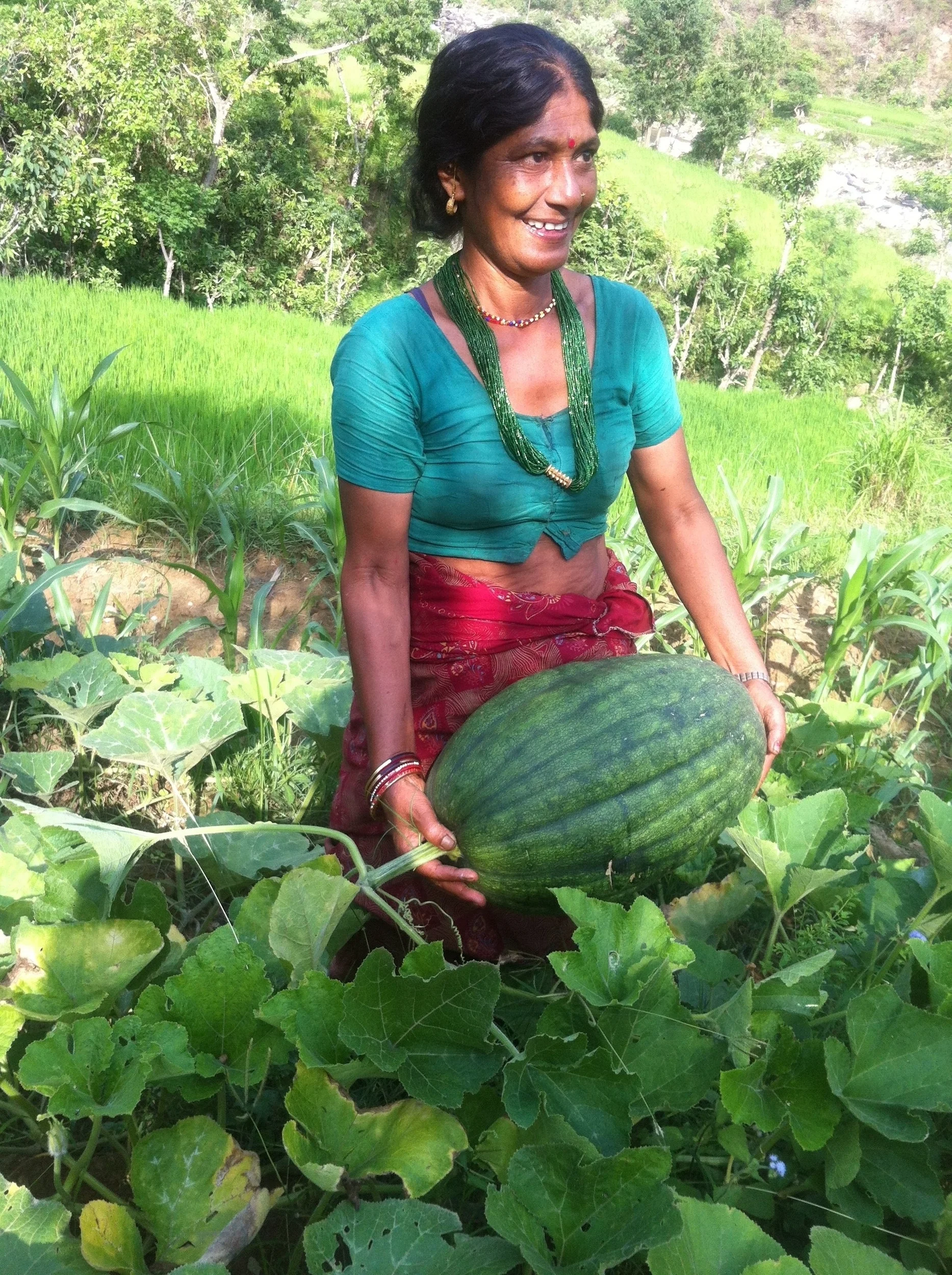 Results of biochar in a pumpkin trial