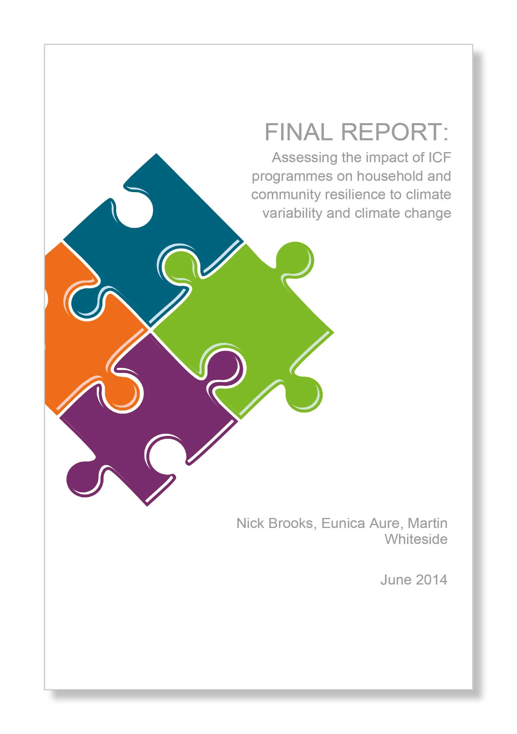 Final report ICF.jpg