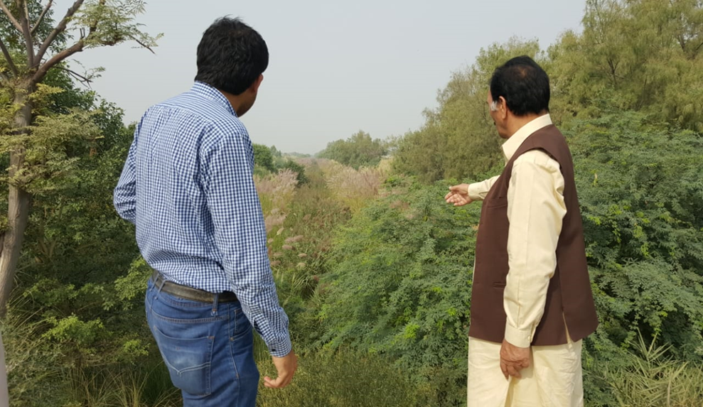Inspecting the current drainage systems along the bank of the Greater Thal Canal