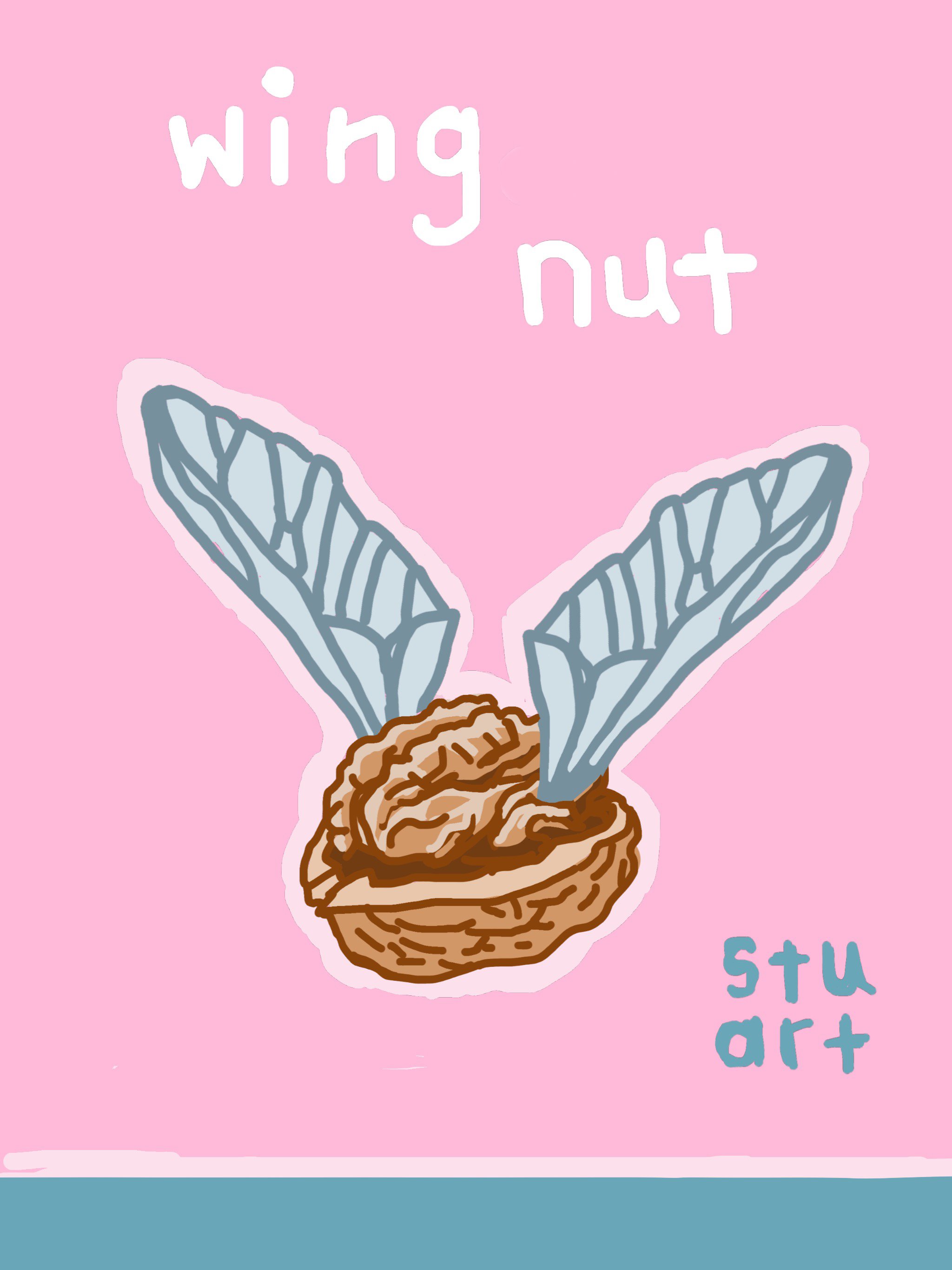 Wing Nut