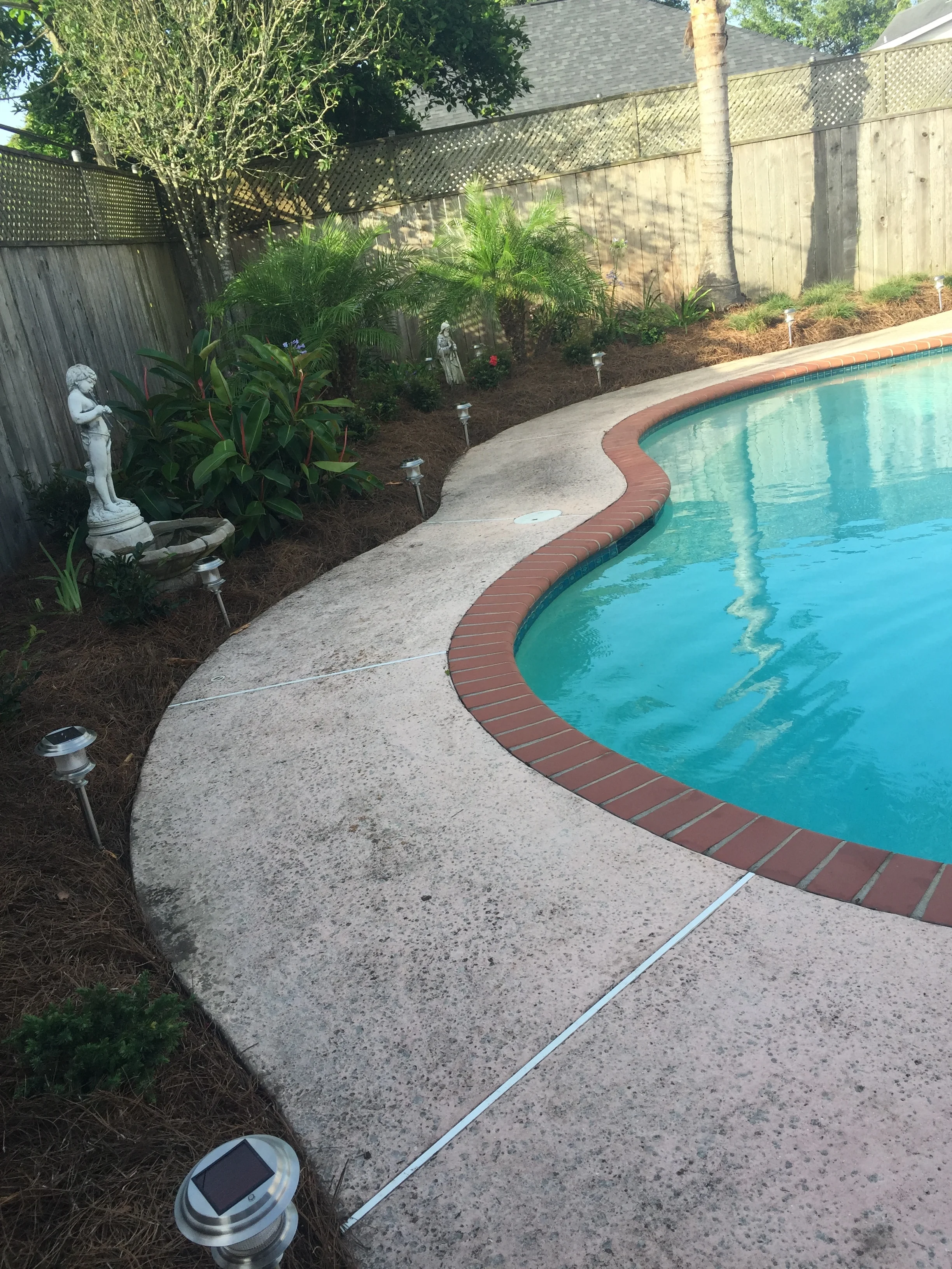 Pool Landscape Planting in Belle Chasse, LA