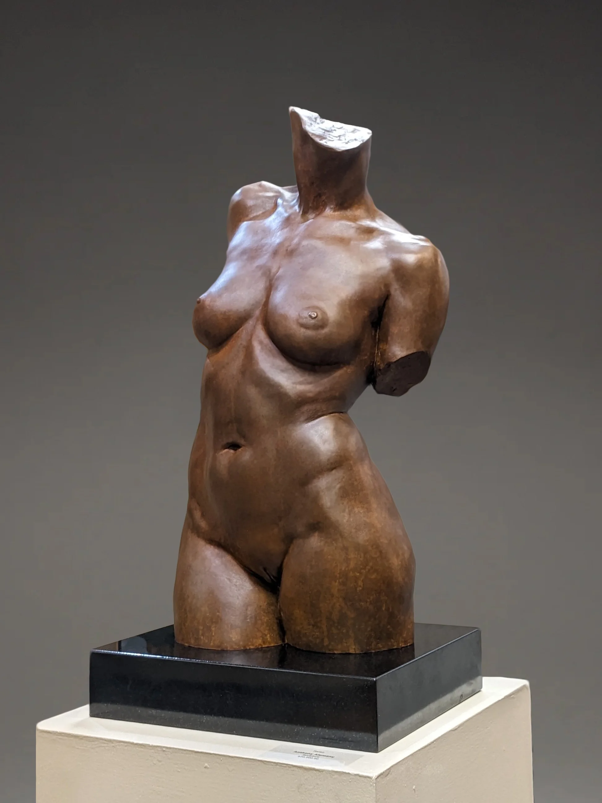 Alemany_Anthony_Female Torso_36x24_Bronze.jpg