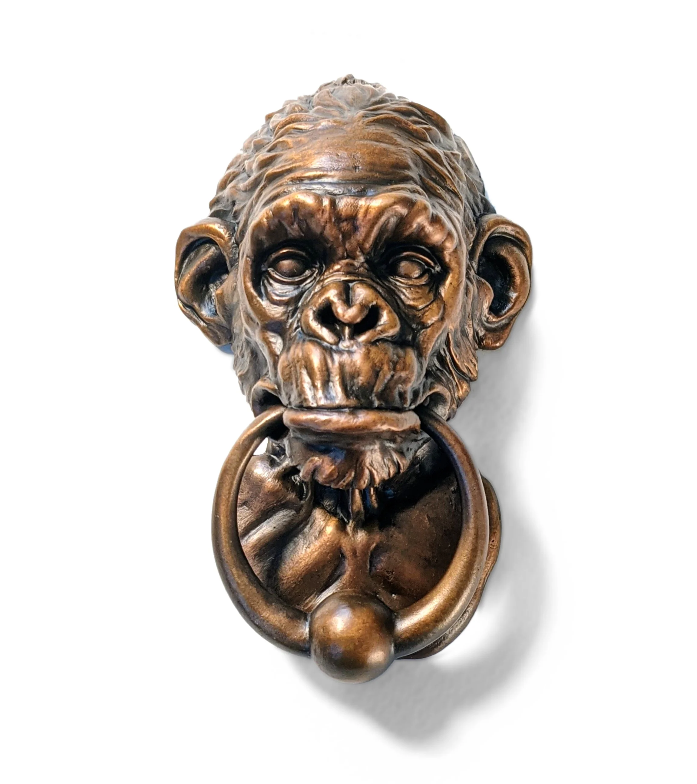 Chimp_01.jpg