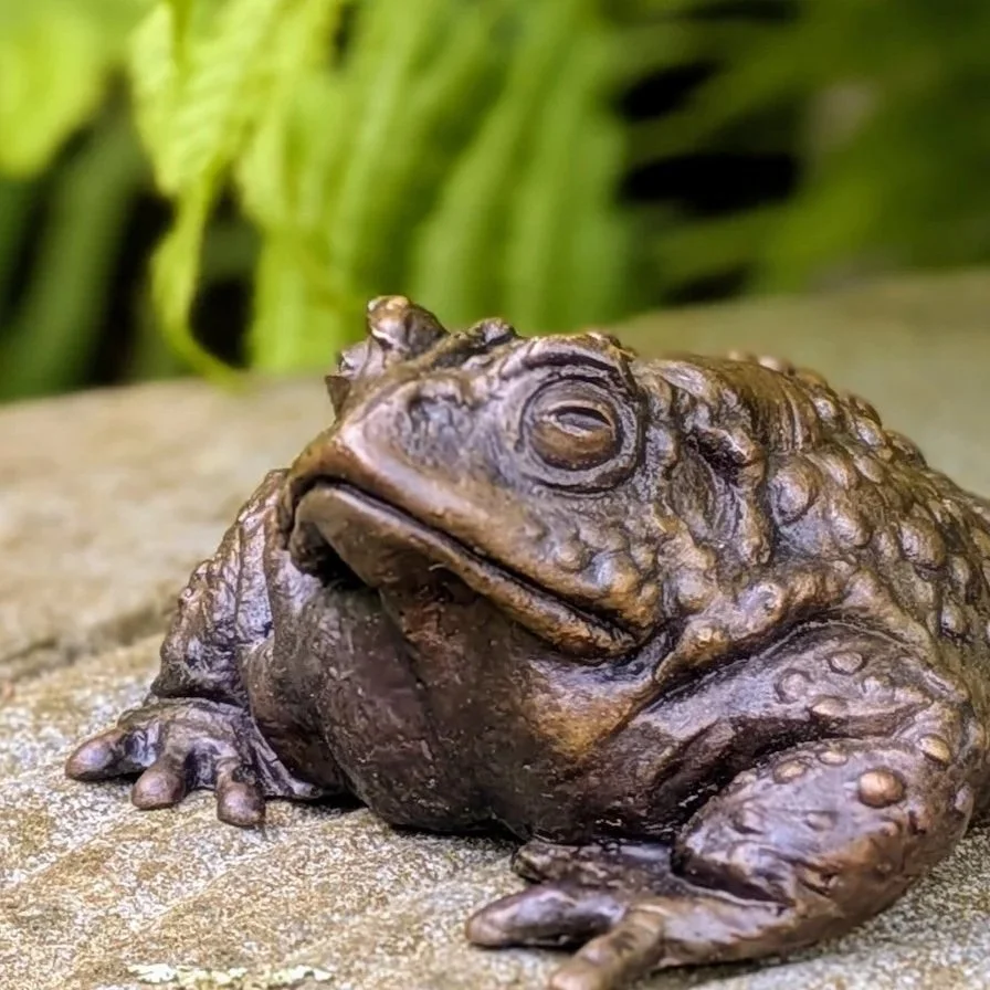 Alemany_Toad+01.jpg