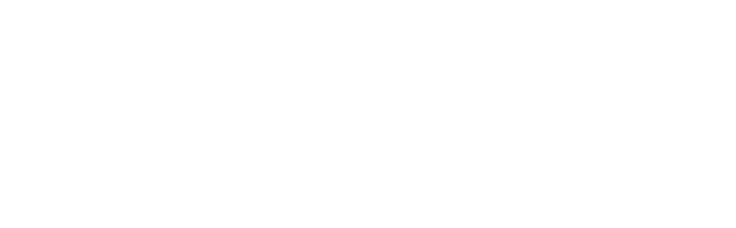 S1NGULAR
