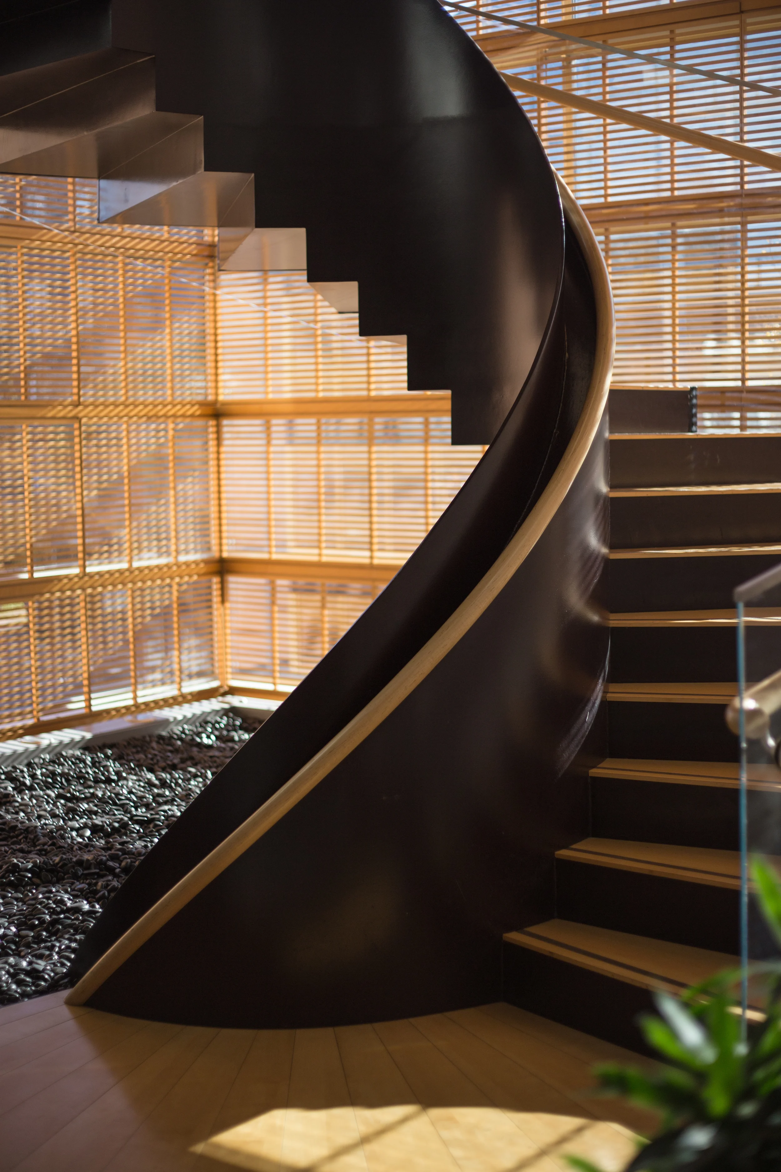 Shiro @ Harvard, 11/21/15