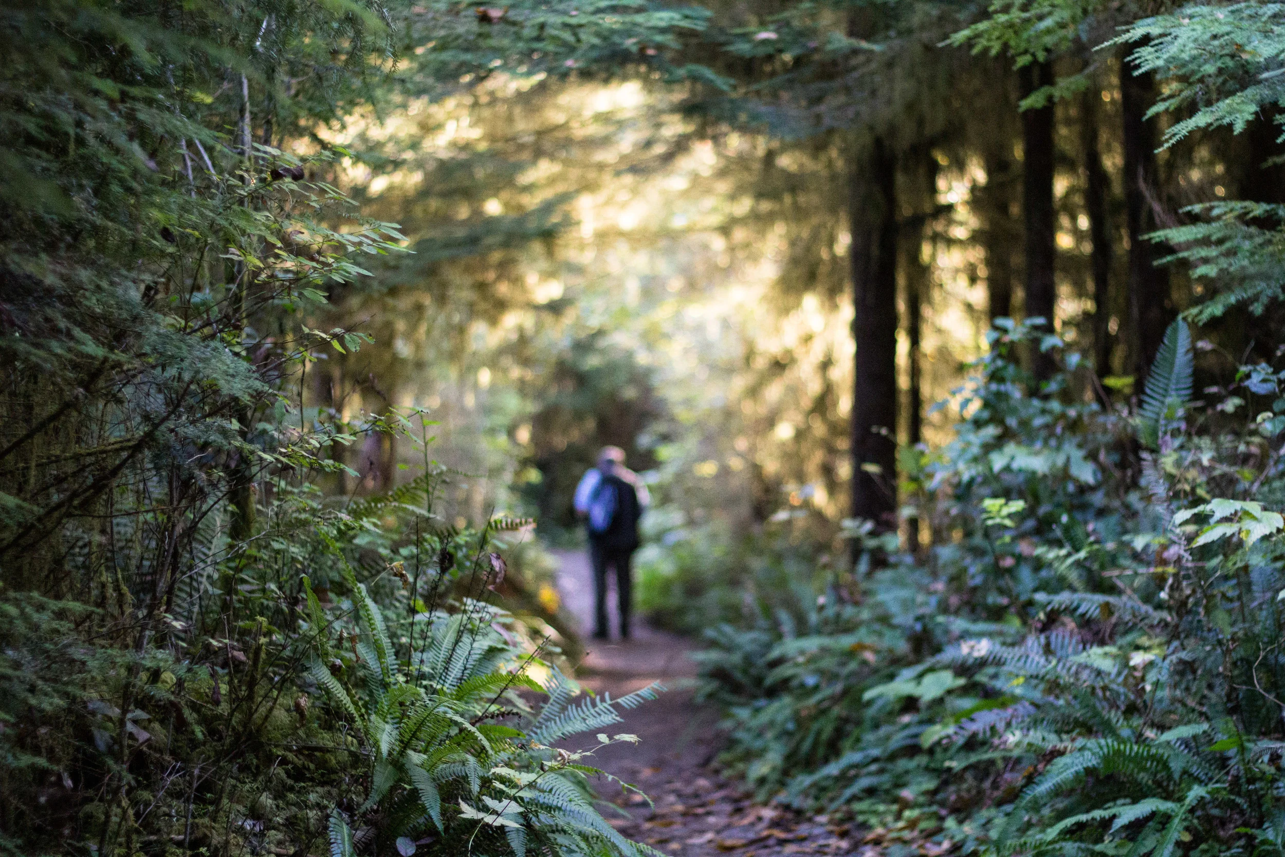 The Edge of the Earth [1/2]