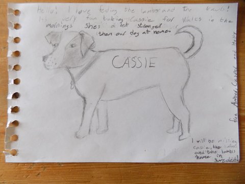....... and of course they drew Cassie, who accompanied them everywhere!