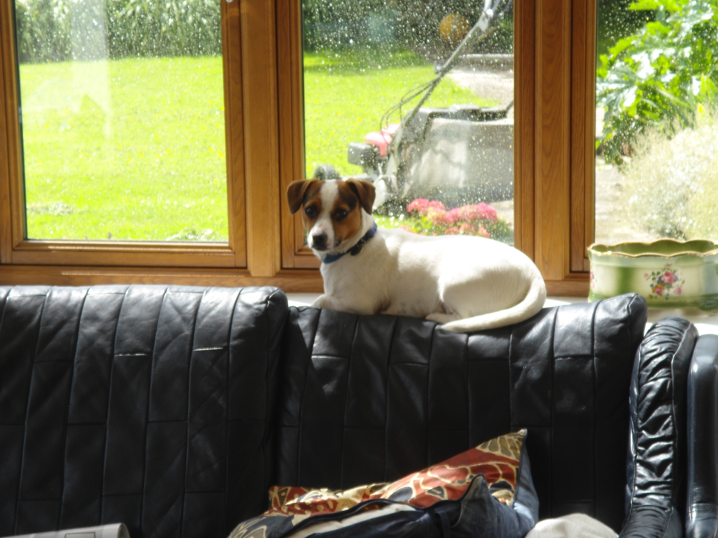 Low-profile Cassie