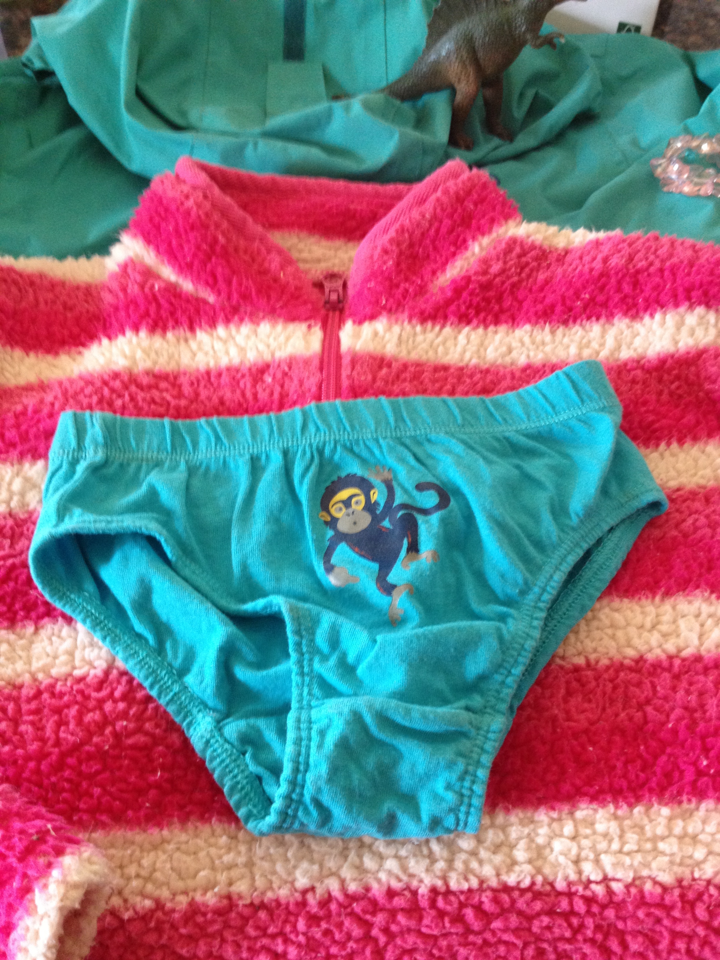 Lovely child's fleece and scary dinosaur, and cheeky monkey pants