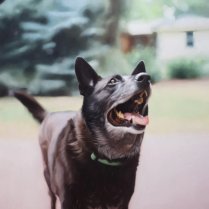 Rosco