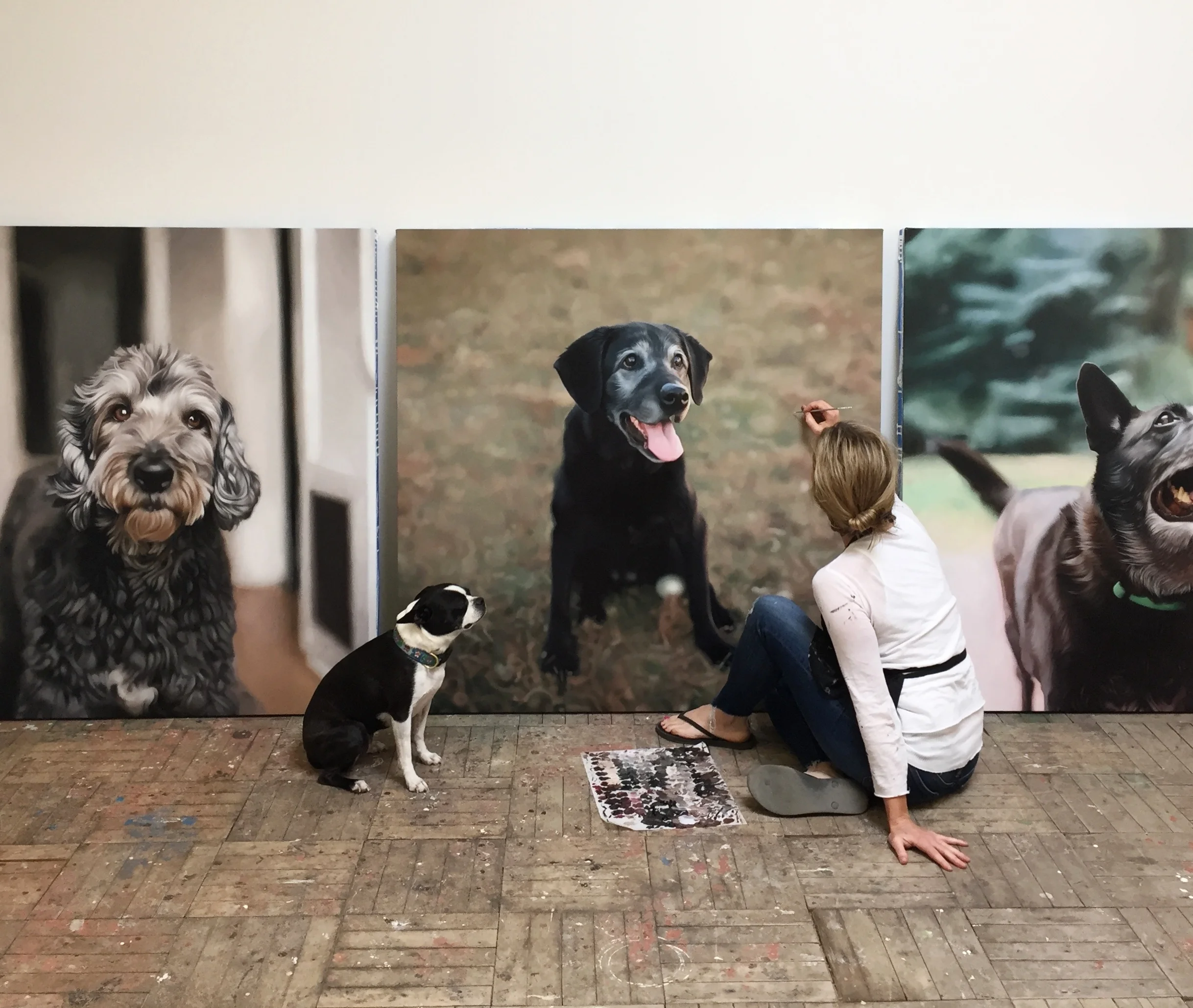 Studio shot with studio dog, Folsom.